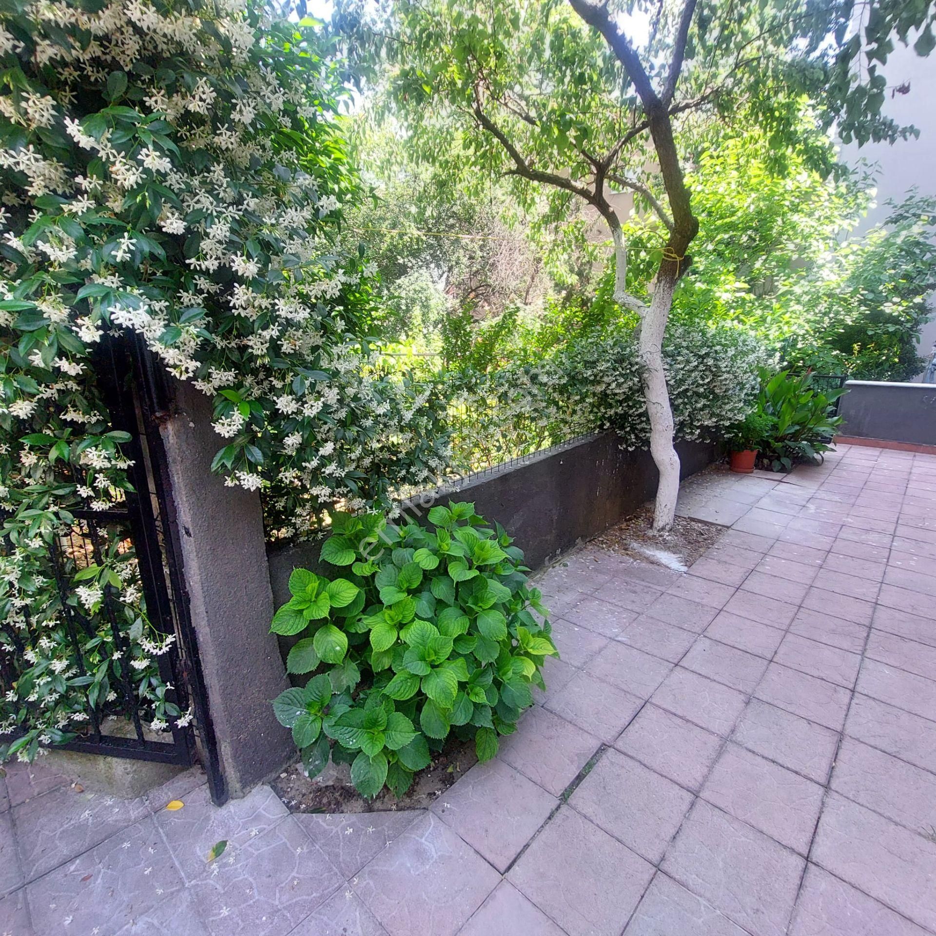 Tarabya Sahil Metro Arası Bölge Kurumsal Çalışana 2+1 Kiralık Giriş Kat