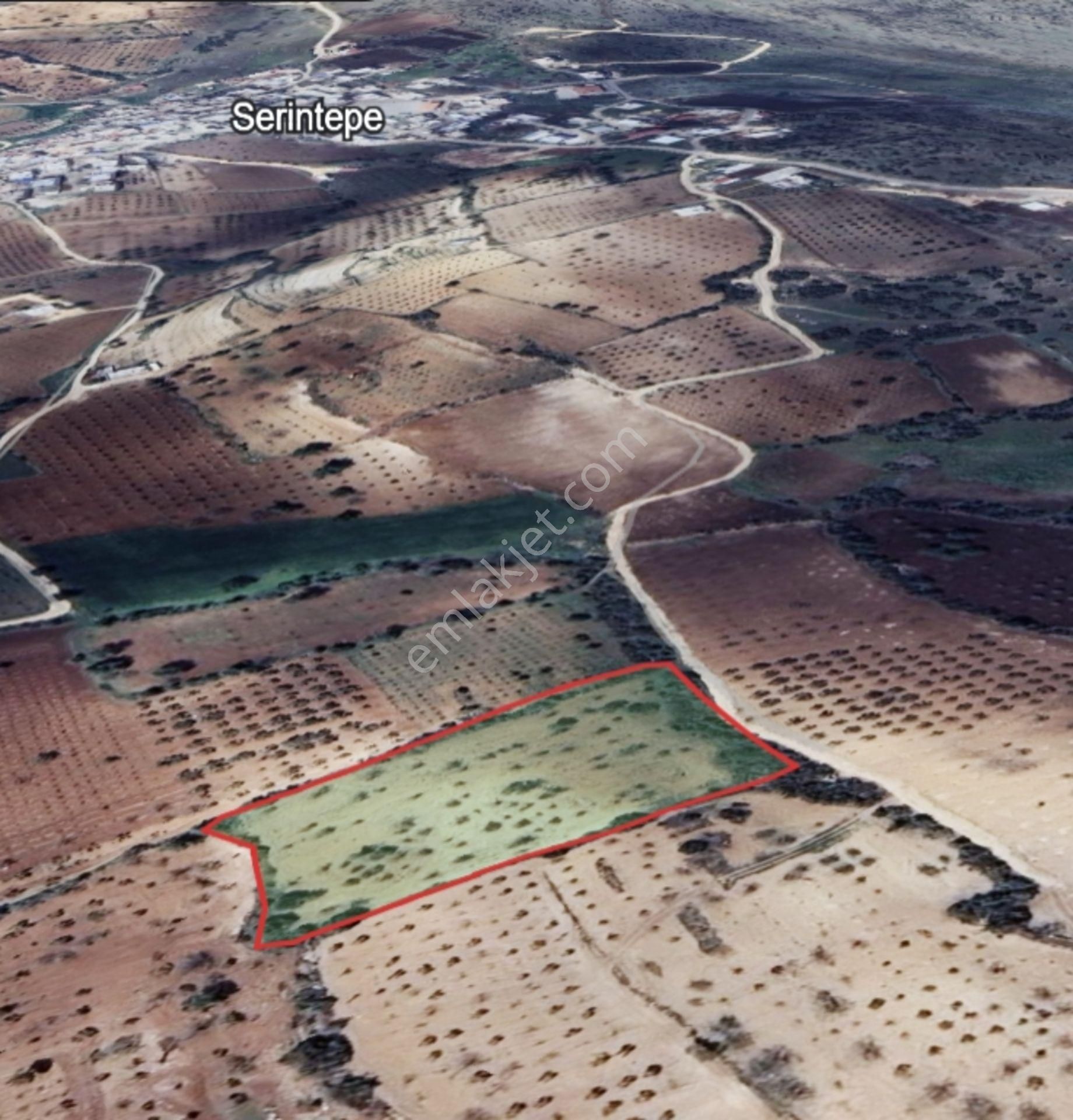 Kirlialıcı Da 7100 M2 Tek Tapu Fıstıklık - Görsel 12