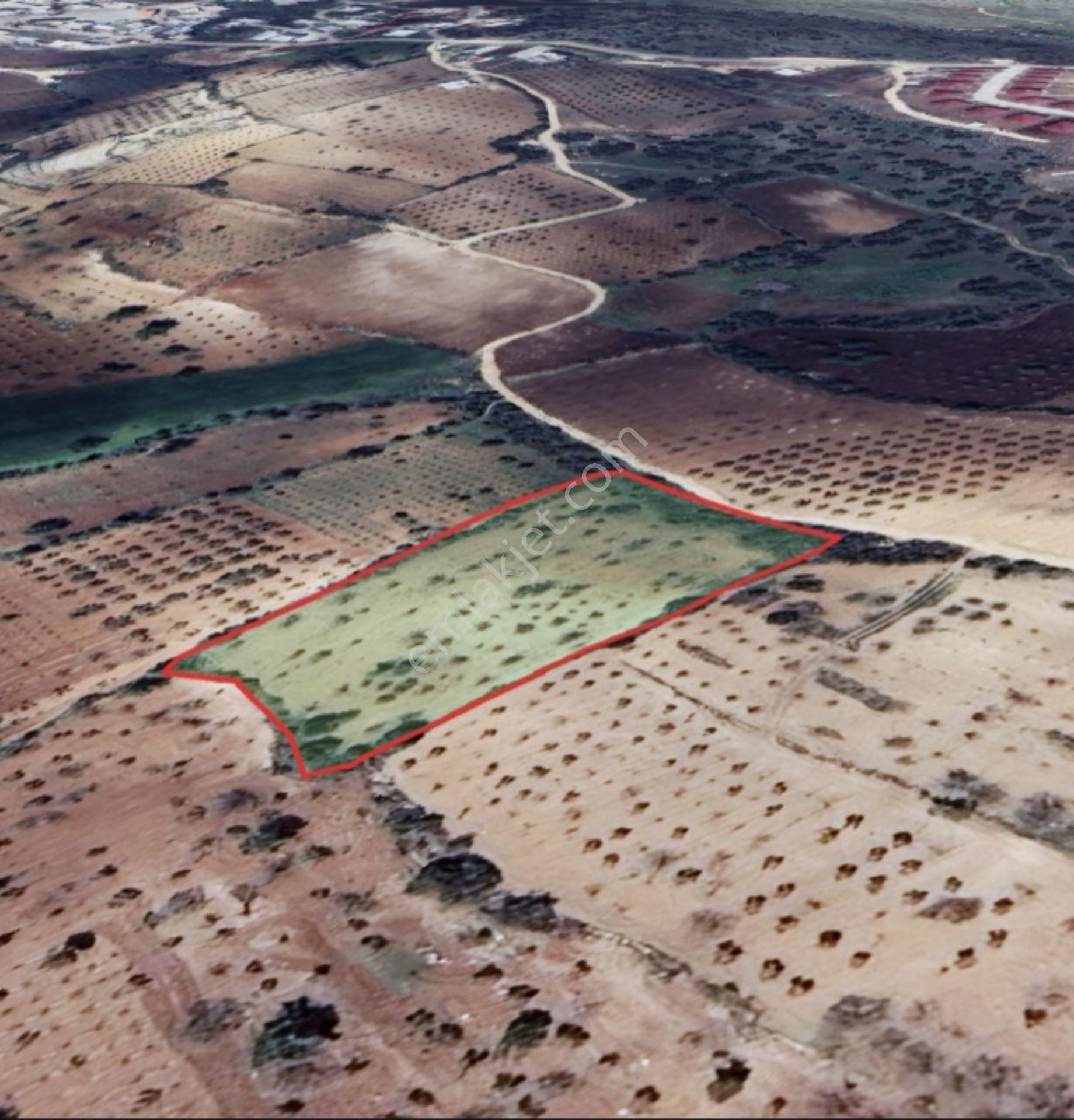 Kirlialıcı Da 7100 M2 Tek Tapu Fıstıklık - Görsel 6