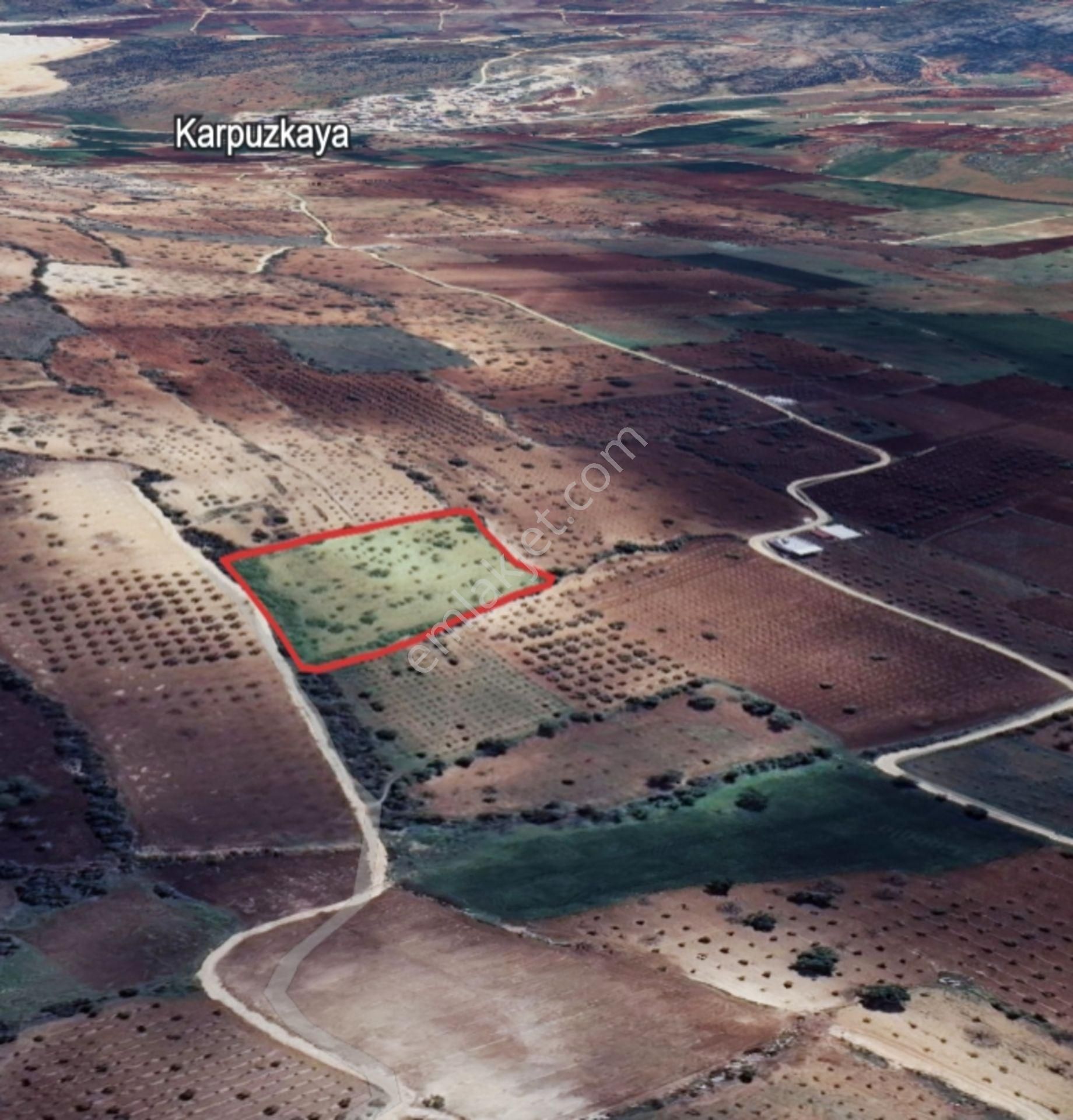 Kirlialıcı Da 7100 M2 Tek Tapu Fıstıklık - Görsel 9