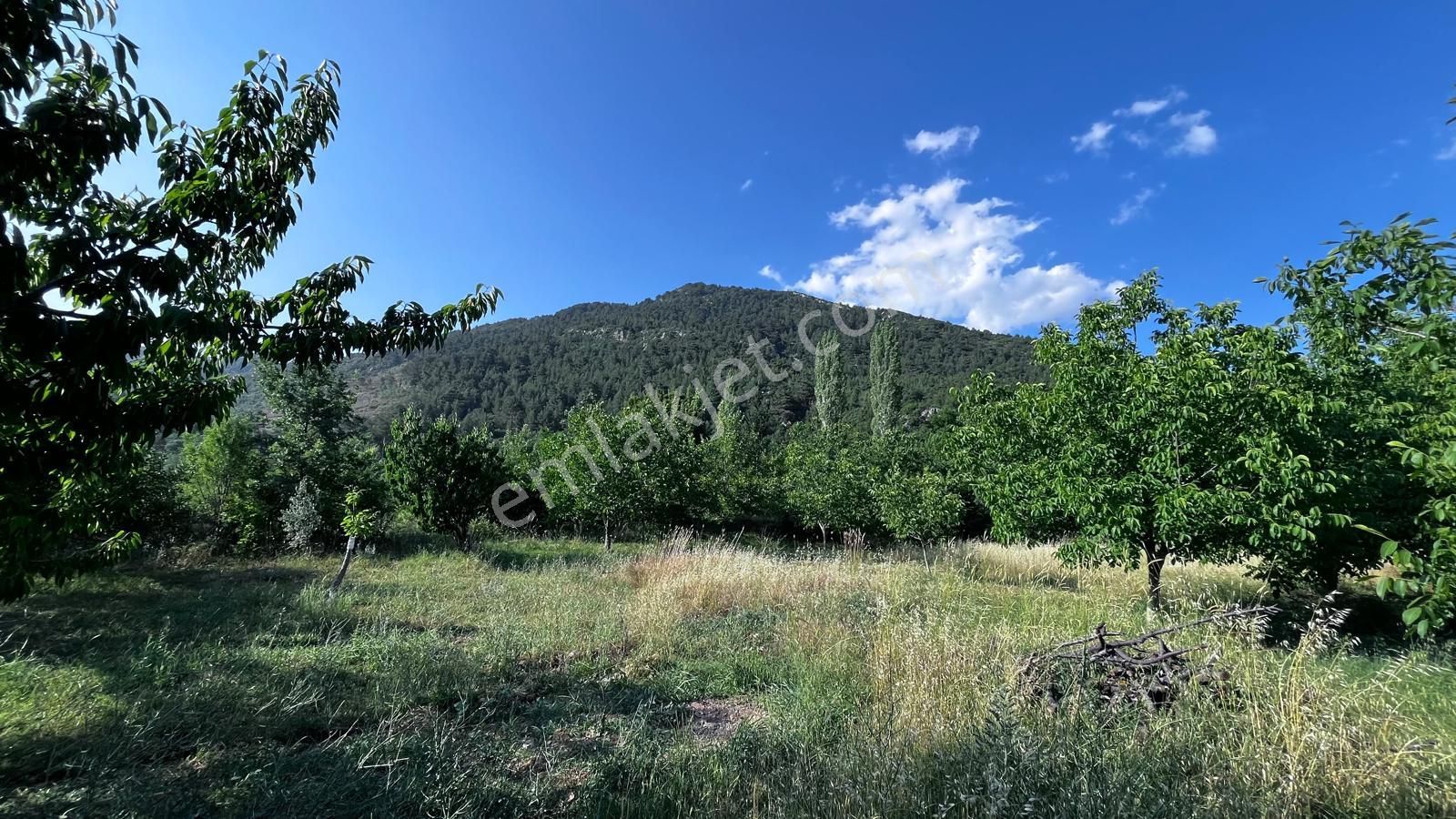 Stop’tan Köyiçi İmarlı 250m² İnşaat Haklı Arazi