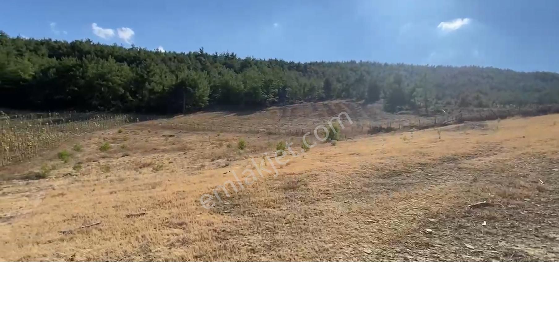 Fiyat Düştü. Sahibinden Acil Satılık.