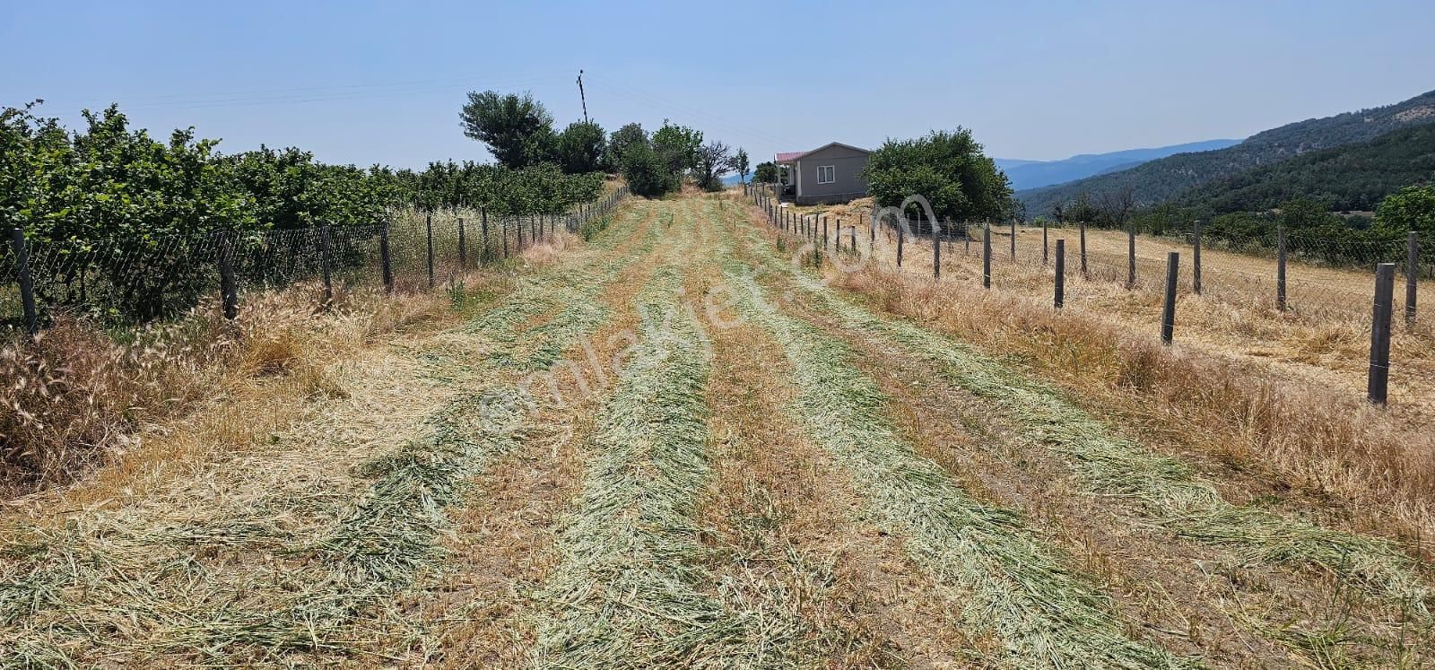 Sakara Taraklı Kemaller İlcesinde Bulunan Yerimiz Satlık