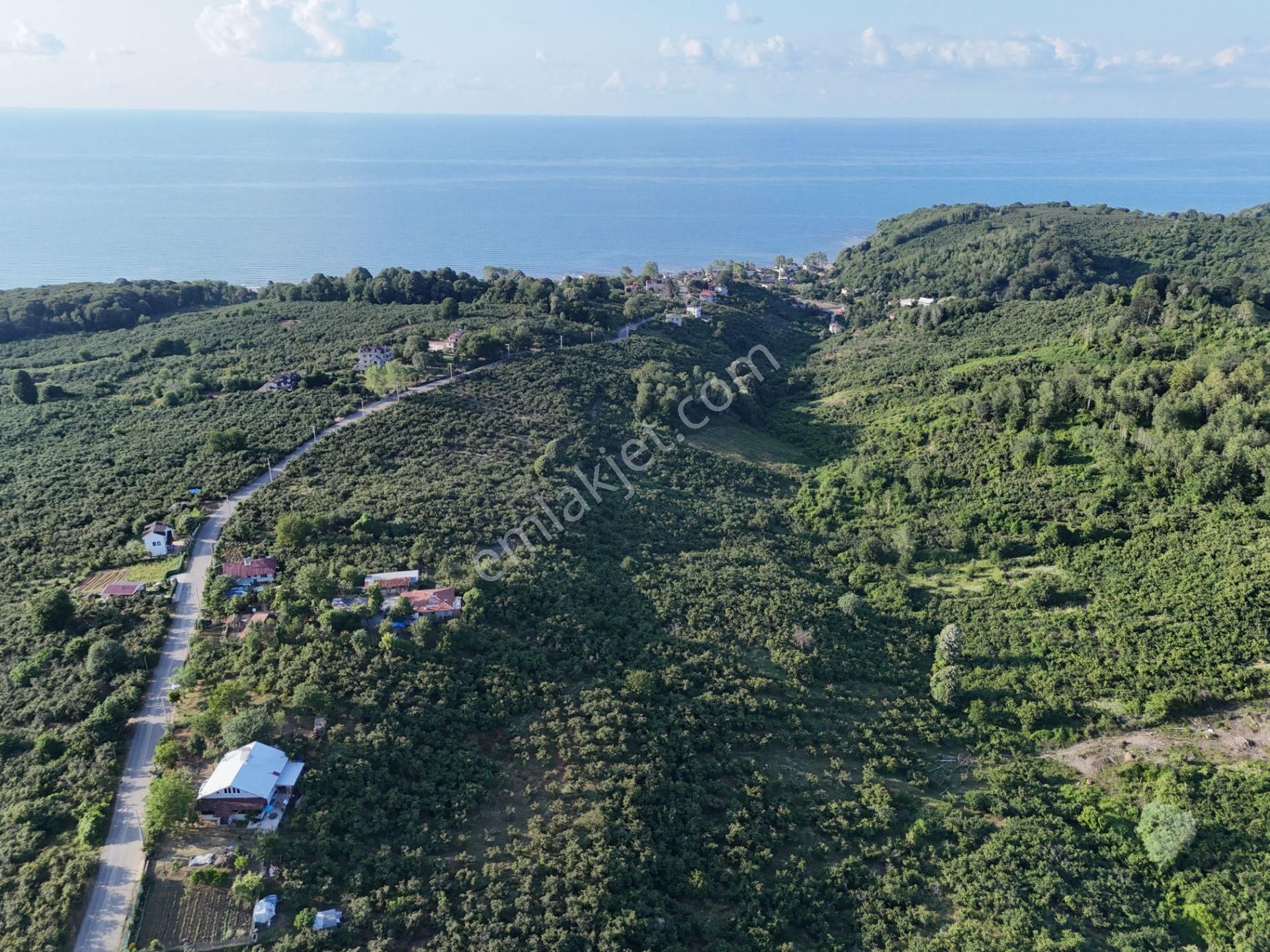 Epa Uğurdan Akçakoca Hasançavuşta Denize Yakın Satılık Arsa