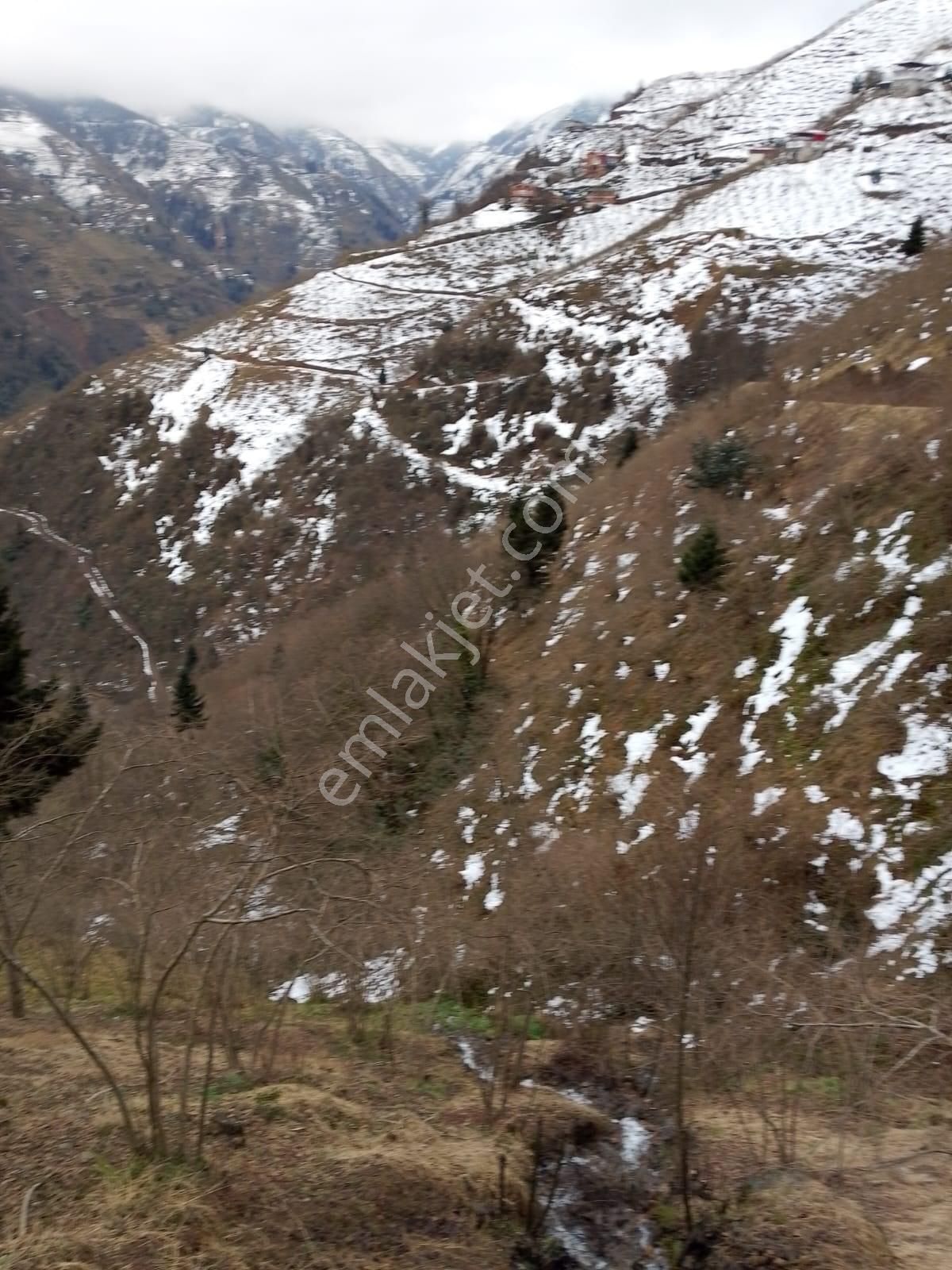 Trabzon Yomra Kelepir 8050m2 Arsa