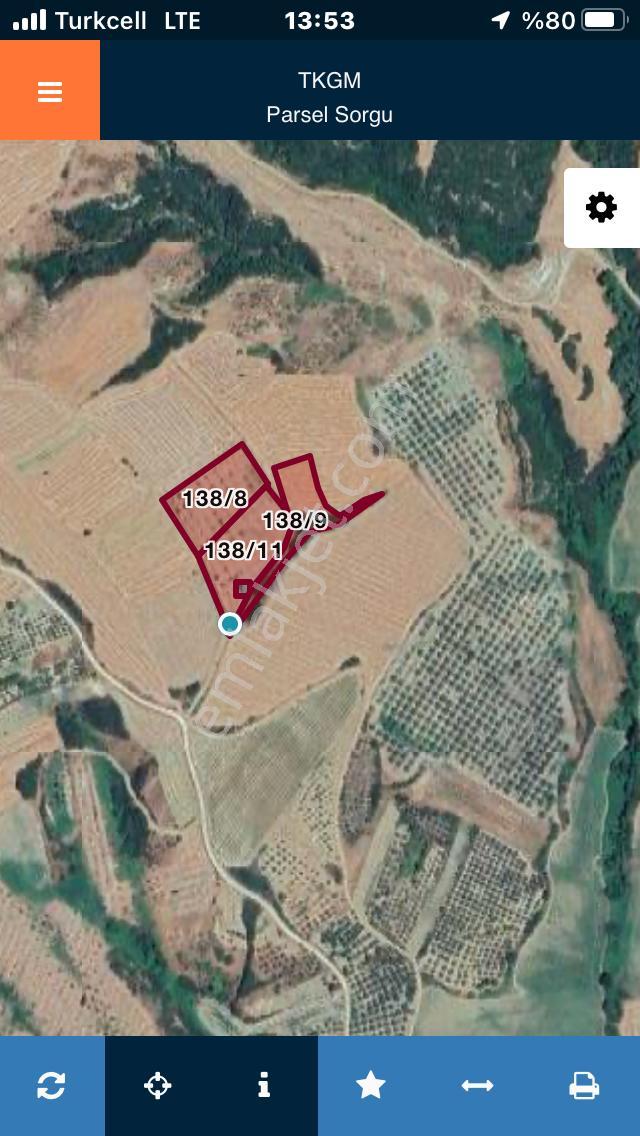 Şarköy De Işık Emlakta Şenköy Mah De 13.000 M2 Çevizlik Ve Tarla - Görsel 30