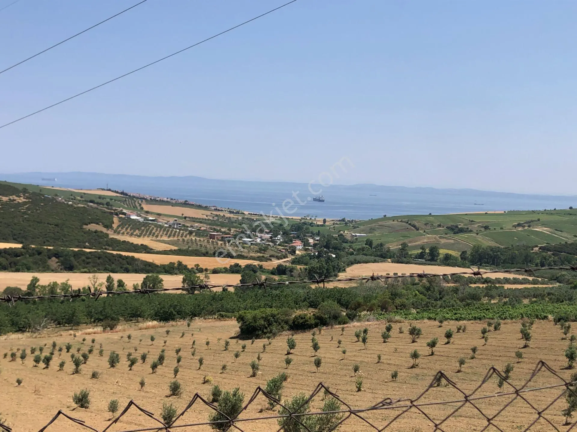 Şarköy De Işık Emlakta Şenköy Mah De 13.000 M2 Çevizlik Ve Tarla - Görsel 3