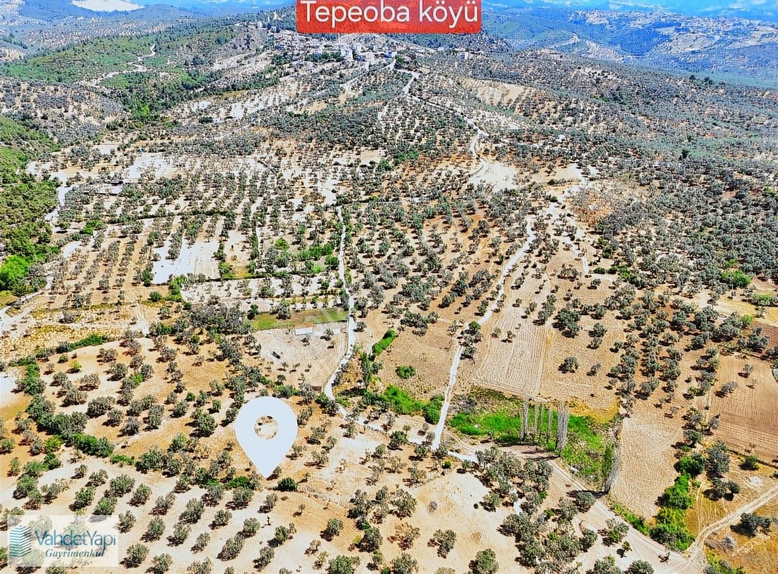 Vahdet'ten Tepeoba'da 5.013 M² Yatırım Fırsatı Satılık Zeytinlik - Görsel 10