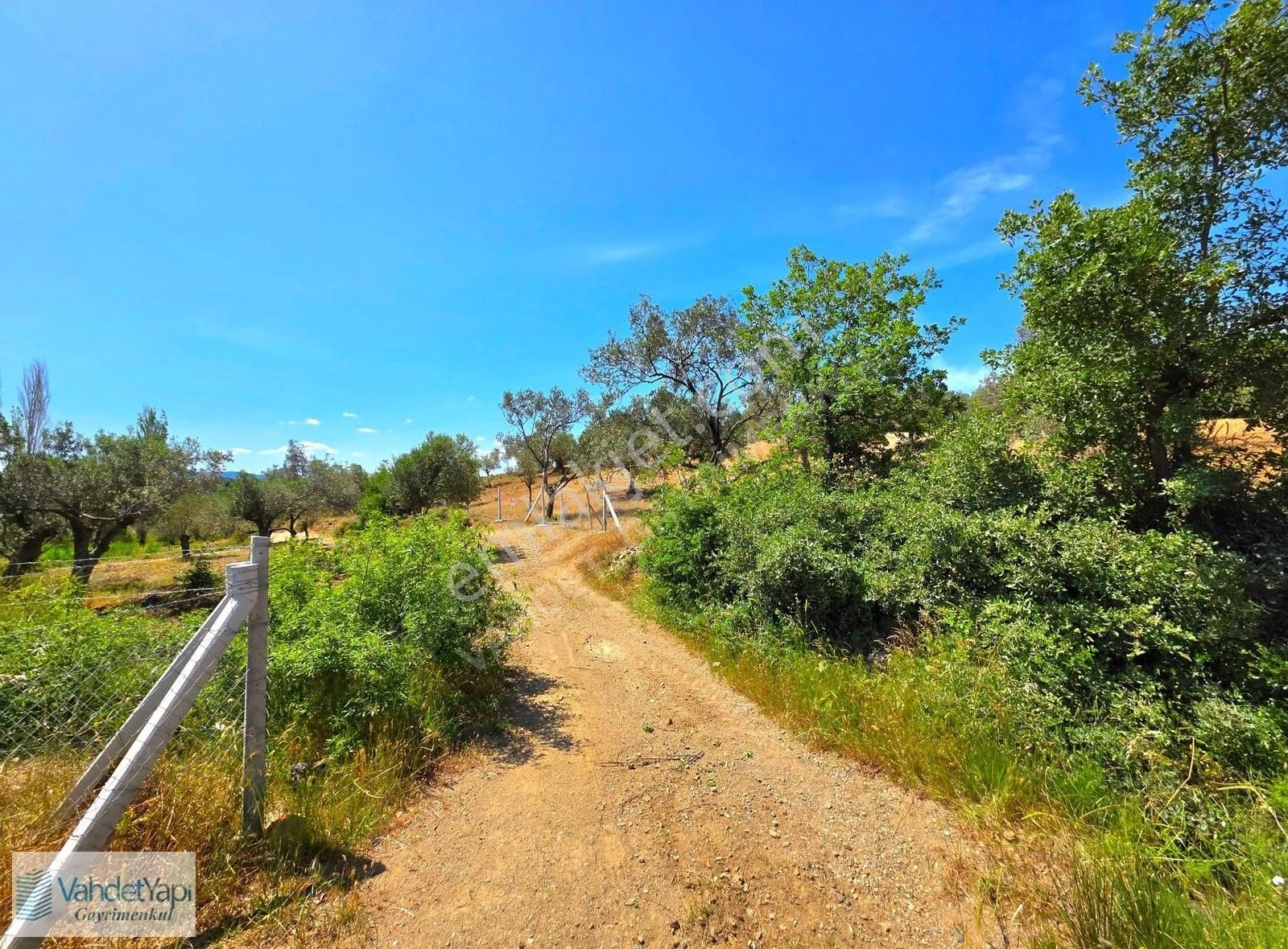 Vahdet'ten Tepeoba'da 5.013 M² Yatırım Fırsatı Satılık Zeytinlik - Görsel 13