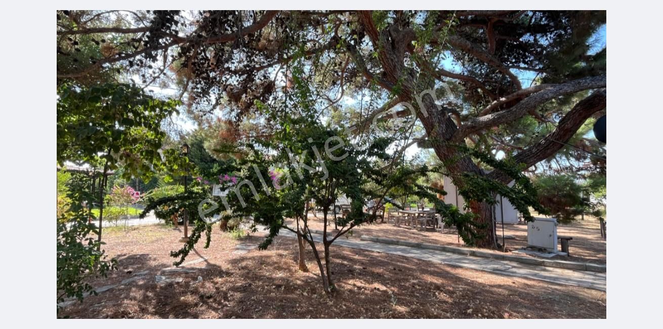 Datça Ray Kent Tatil Sitesi'nde Satılık Bahçe Katı - Görsel 5