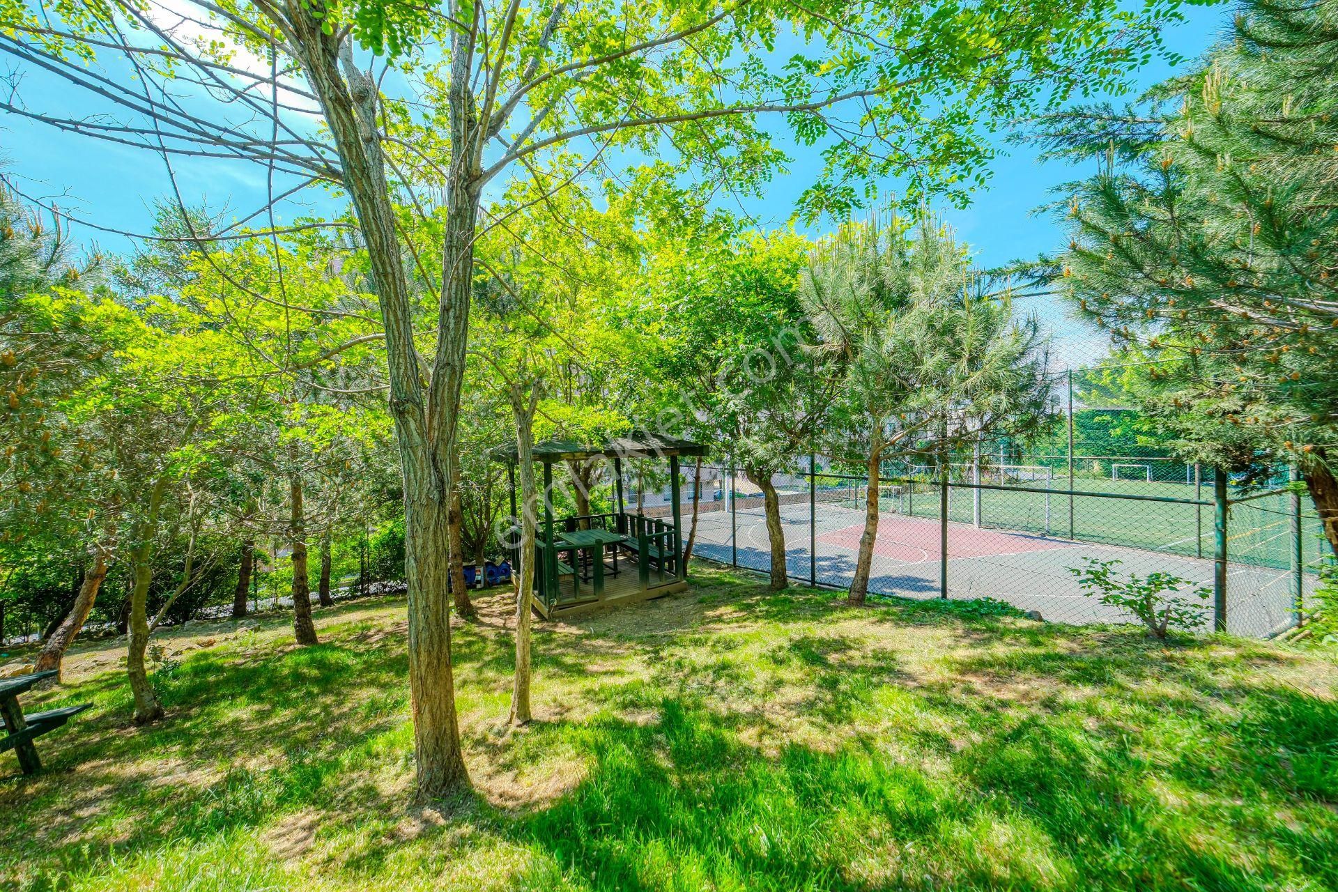 Sarıyer Boğaziçi Park Evleri Koç Ünv Komşu 320m2 Kiralık Dubleks - Görsel 6