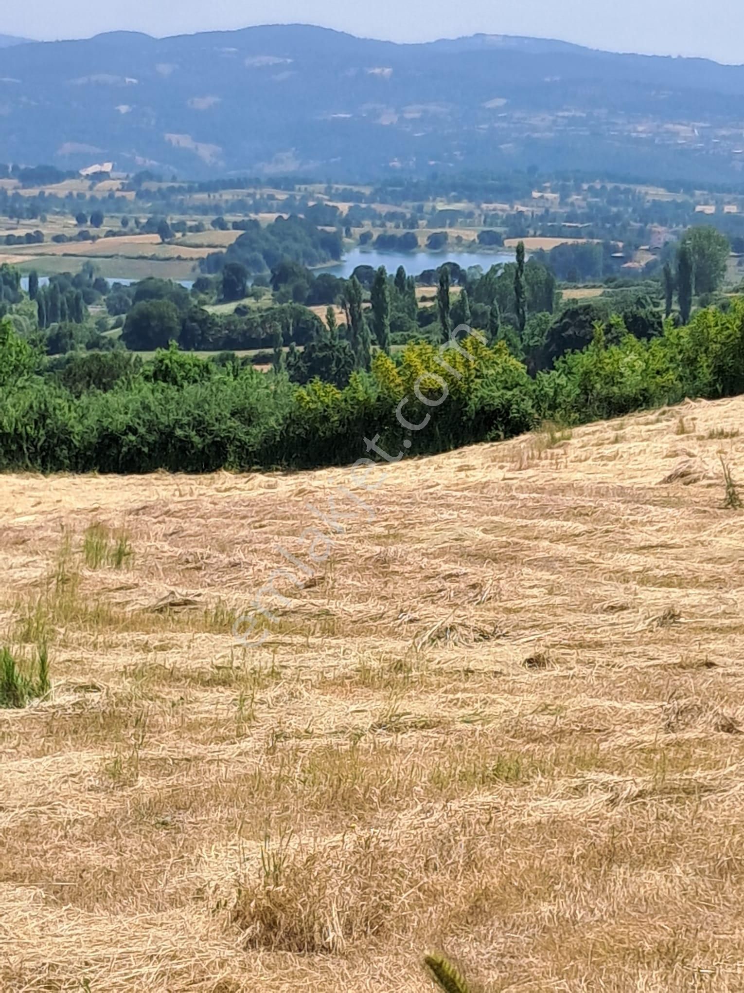 Çanakkale Yenice Umurlar Köyü 1140 M2 Bahçeli Satılık Müstakil Ev - Görsel 28