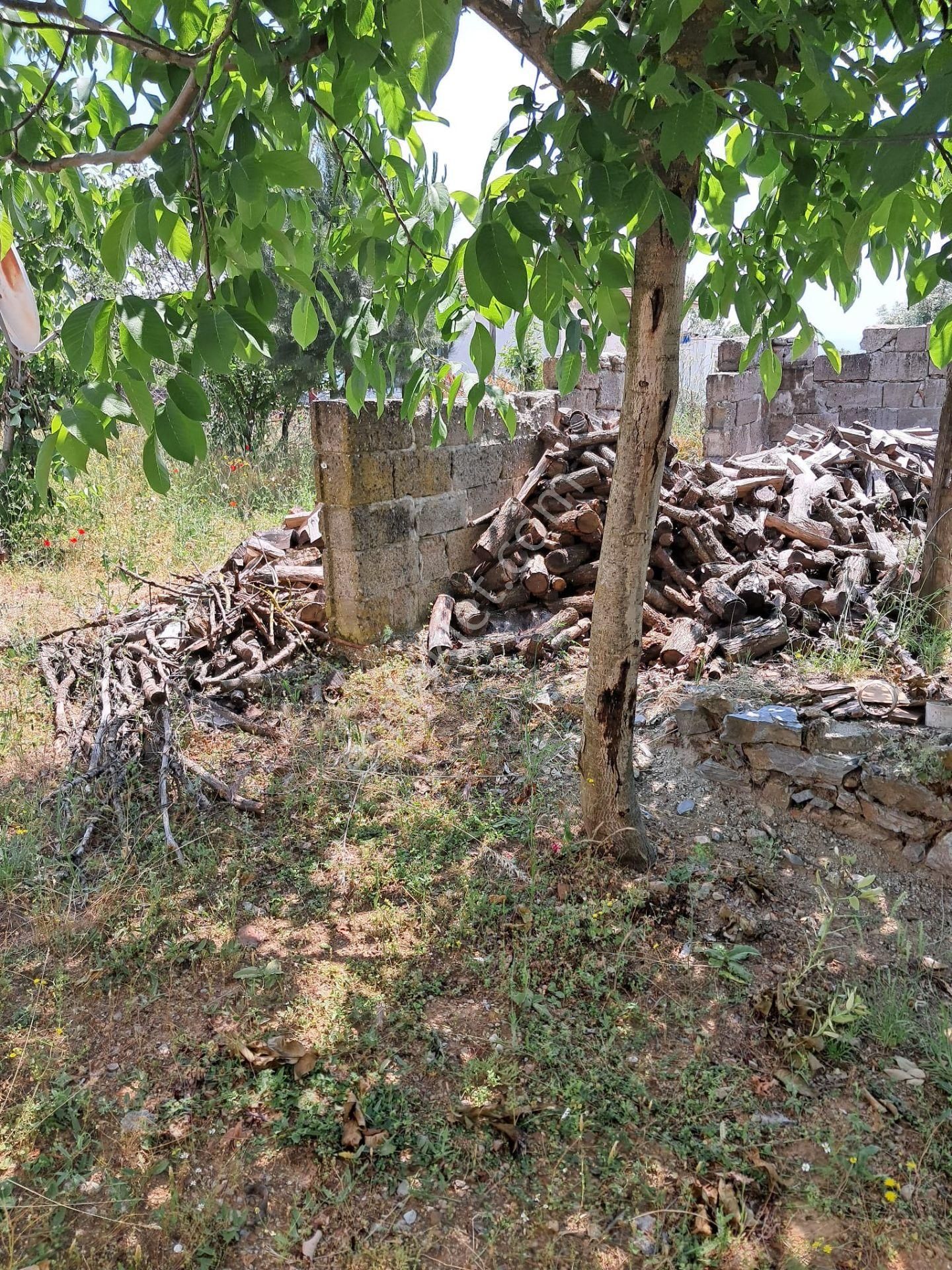 Çanakkale Yenice Umurlar Köyü 1140 M2 Bahçeli Satılık Müstakil Ev - Görsel 20