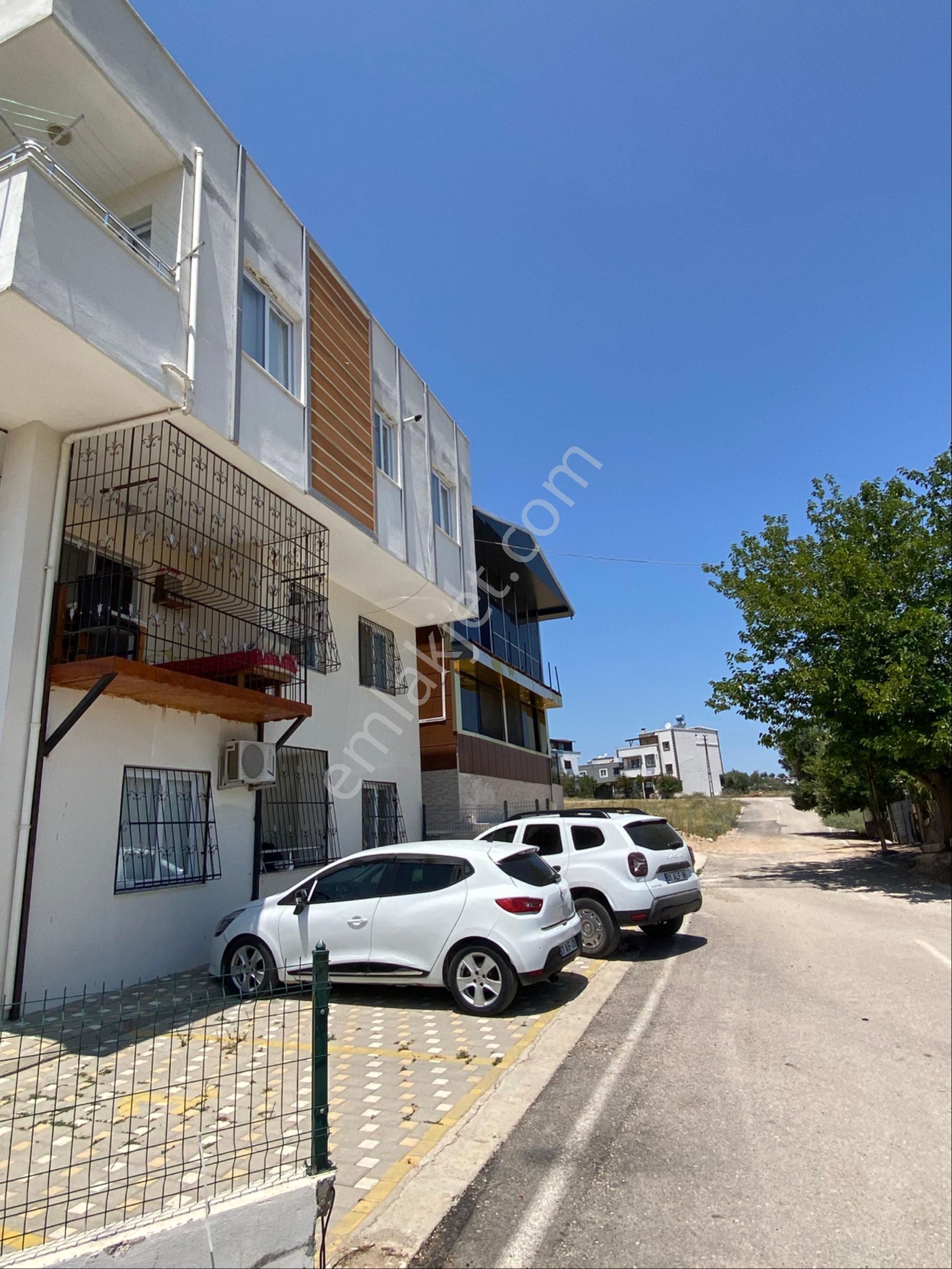 Alfadan Stadyuma 3dk Müstakil Tadında