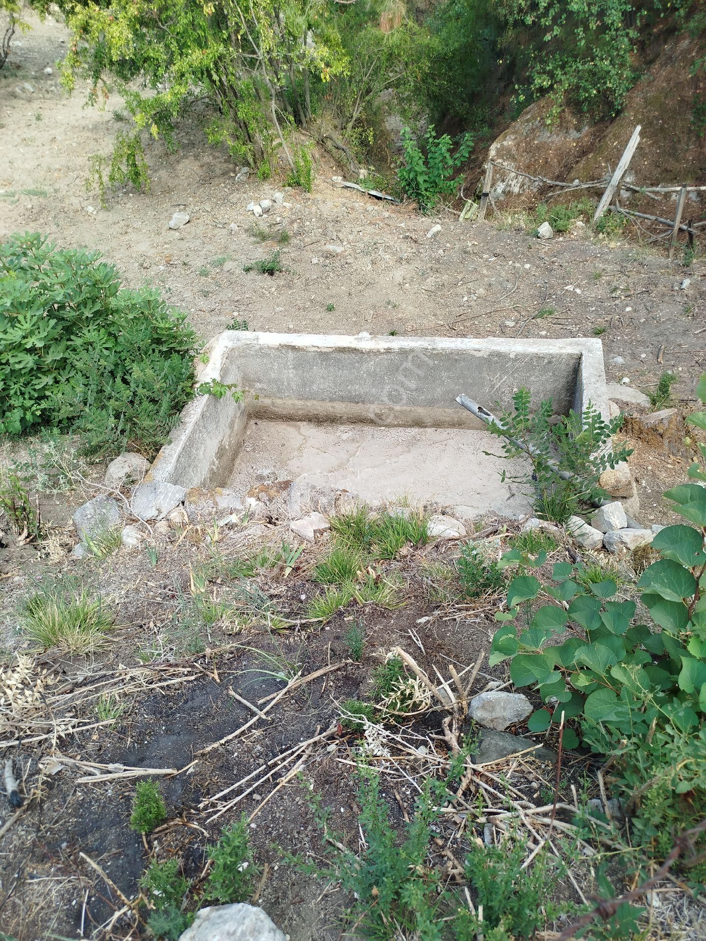 Tarihi Köyde Zeytinlik - Görsel 4