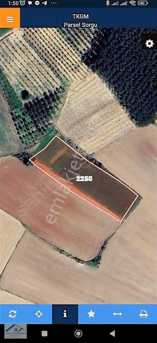 Kırklareli, Koyunbaba Köyü Satılık 4600 M2 Tek Tapu Tarla.