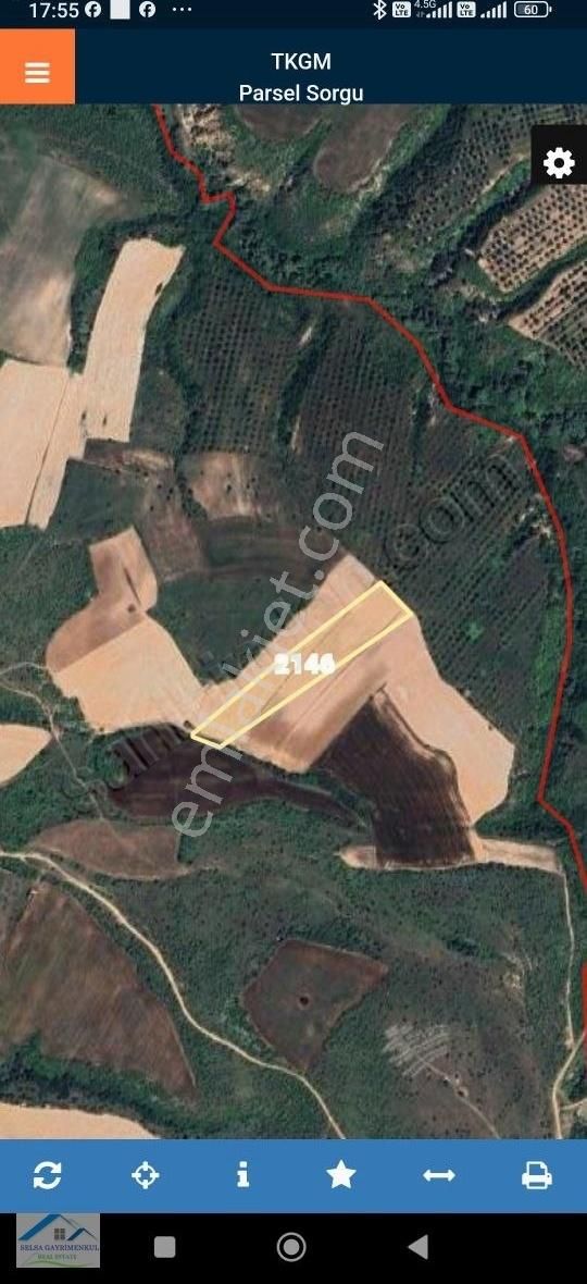 Kırklareli, Koyunbaba Köyü, Satılık 12.325 M2 Tarla