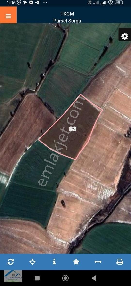 Kırklareli Koyunbaba Köyünde 14.900 M2 Satılık Tek Tapu Tarla