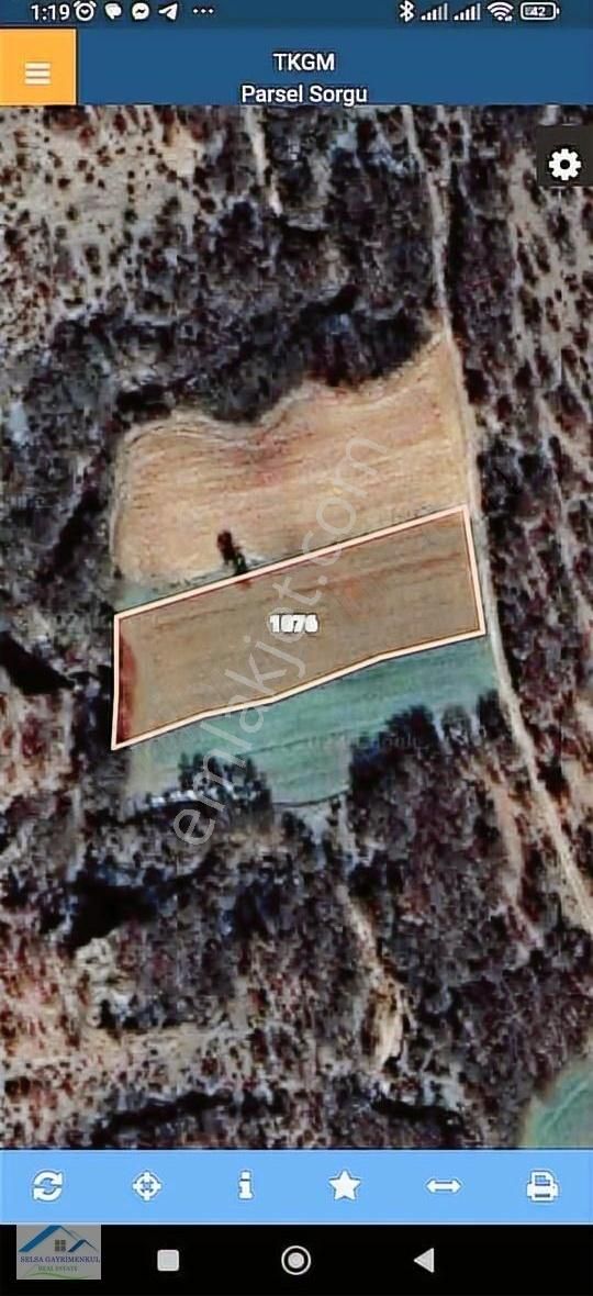 Kırklareli, Koyunbaba Köyünde 3800 M2 Satılık Tek Tapu Tarla