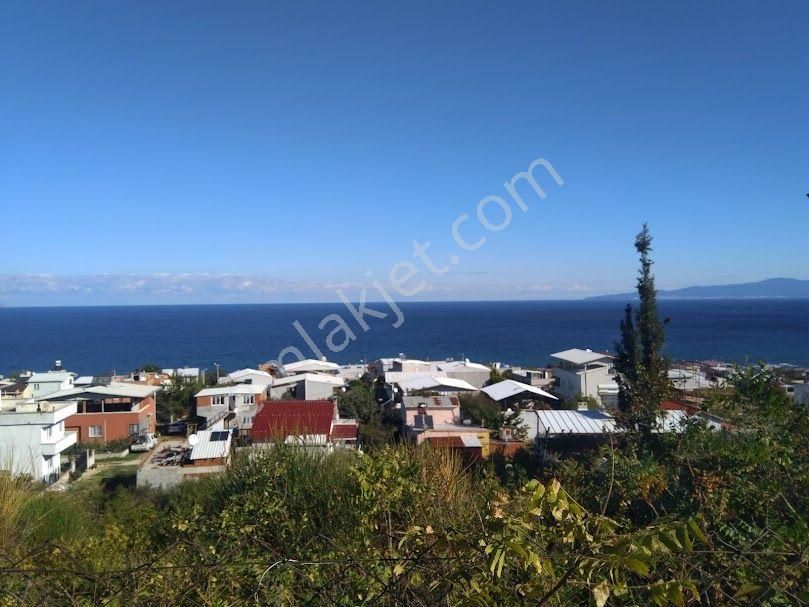 Bursa Mudanya Kapanmaz Deniz Manzaralı, Resmi Tapu, 1/1000 Planda, Eve Komşu Arazi