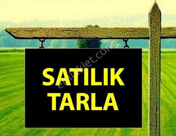 Polat Emlak...kelepir Fiyatlı Satılık Müstakil 2 Dönümtarla