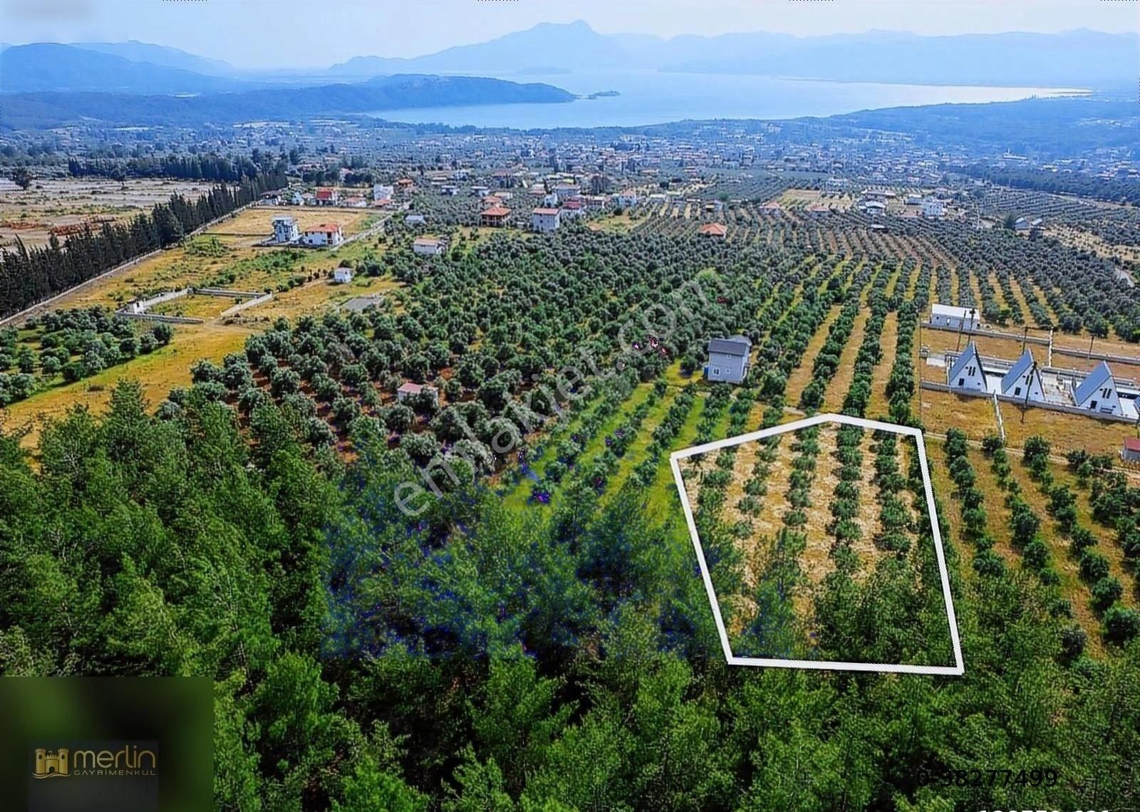 Merlin Gm'den Köyzeğiz'de Göl Manzaralı 1.186 M² Satılık Tarla