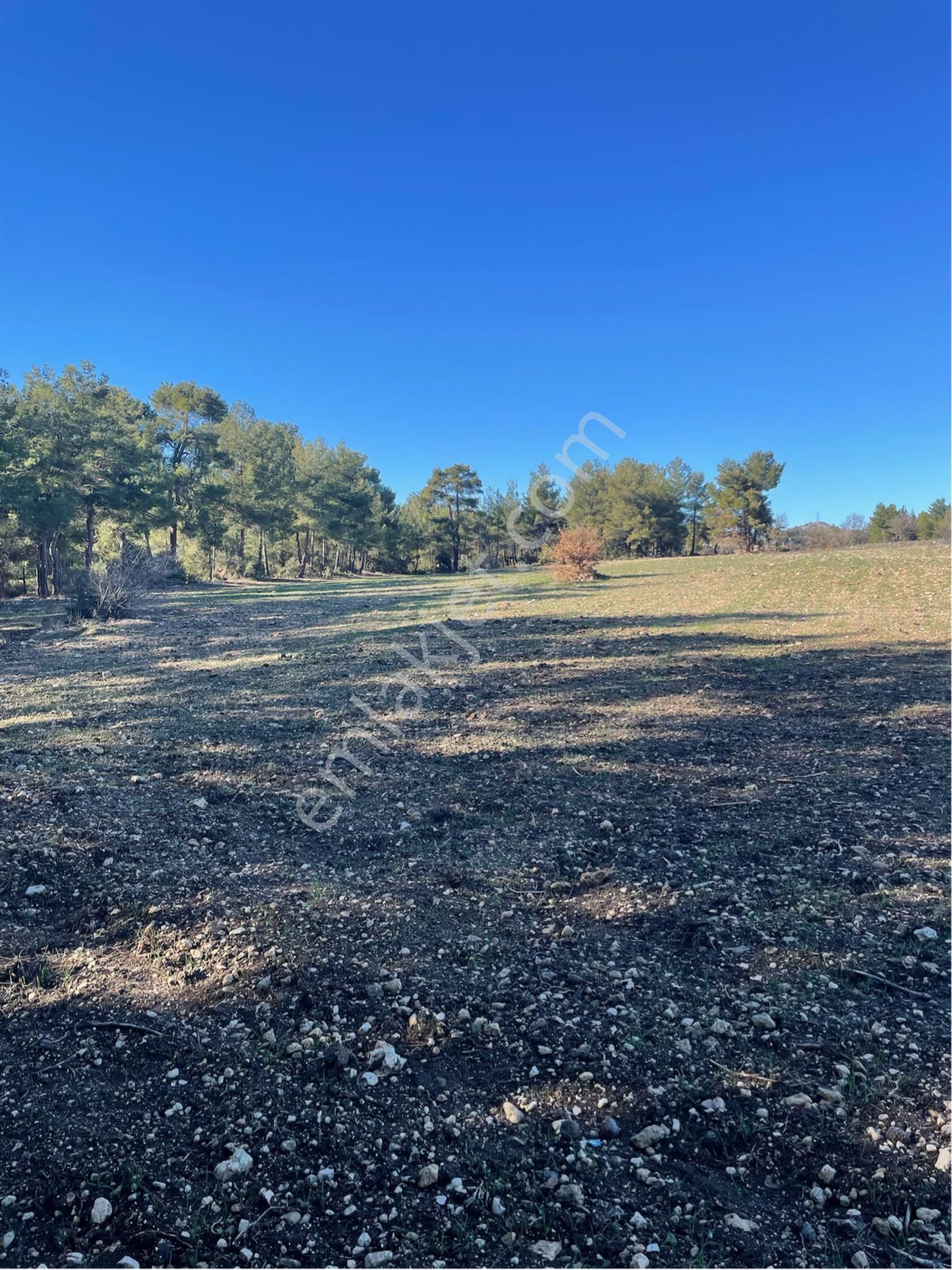 Sahibinden Yatırımlık Tarla - Görsel 5