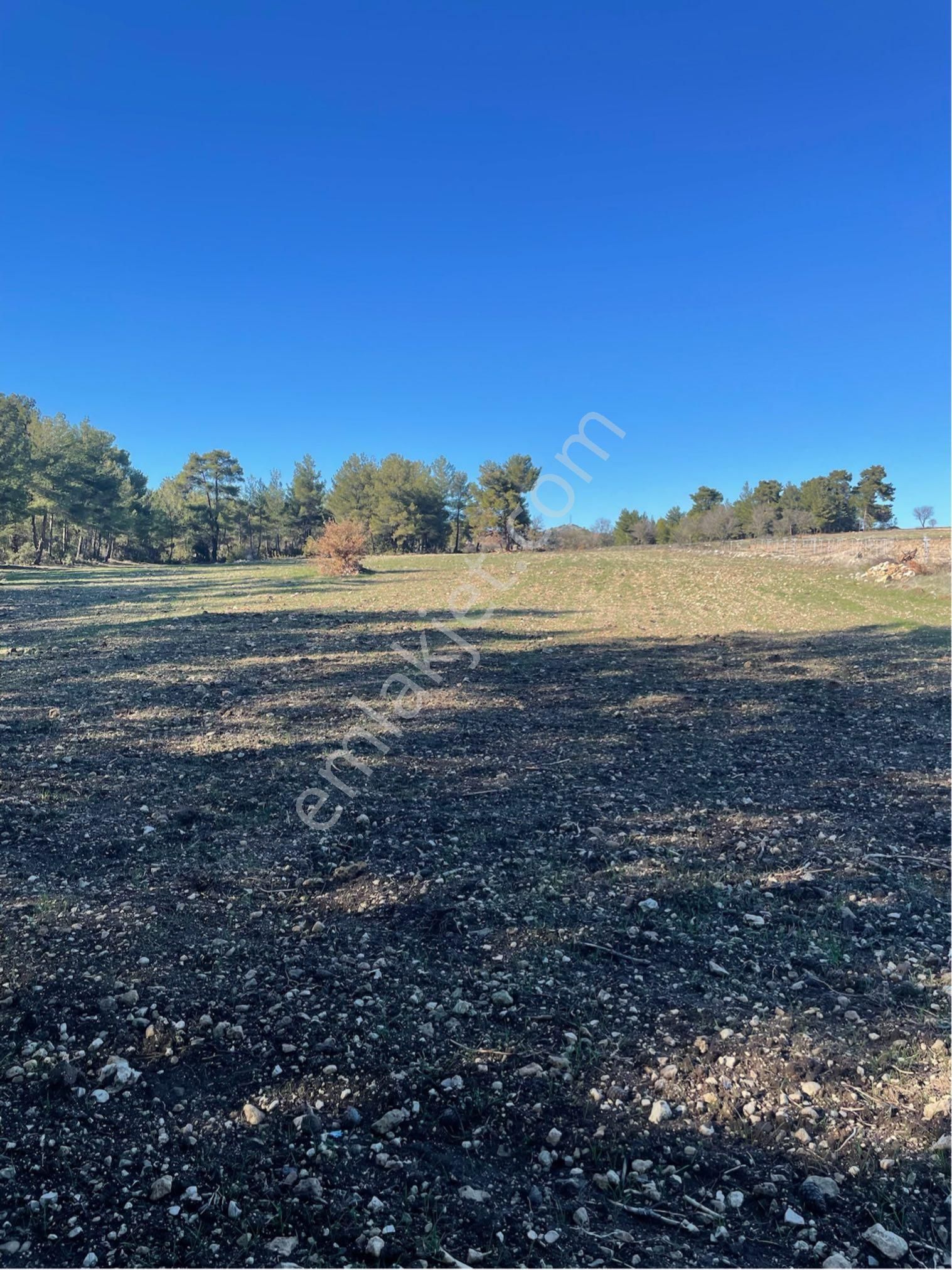 Sahibinden Yatırımlık Tarla - Görsel 8