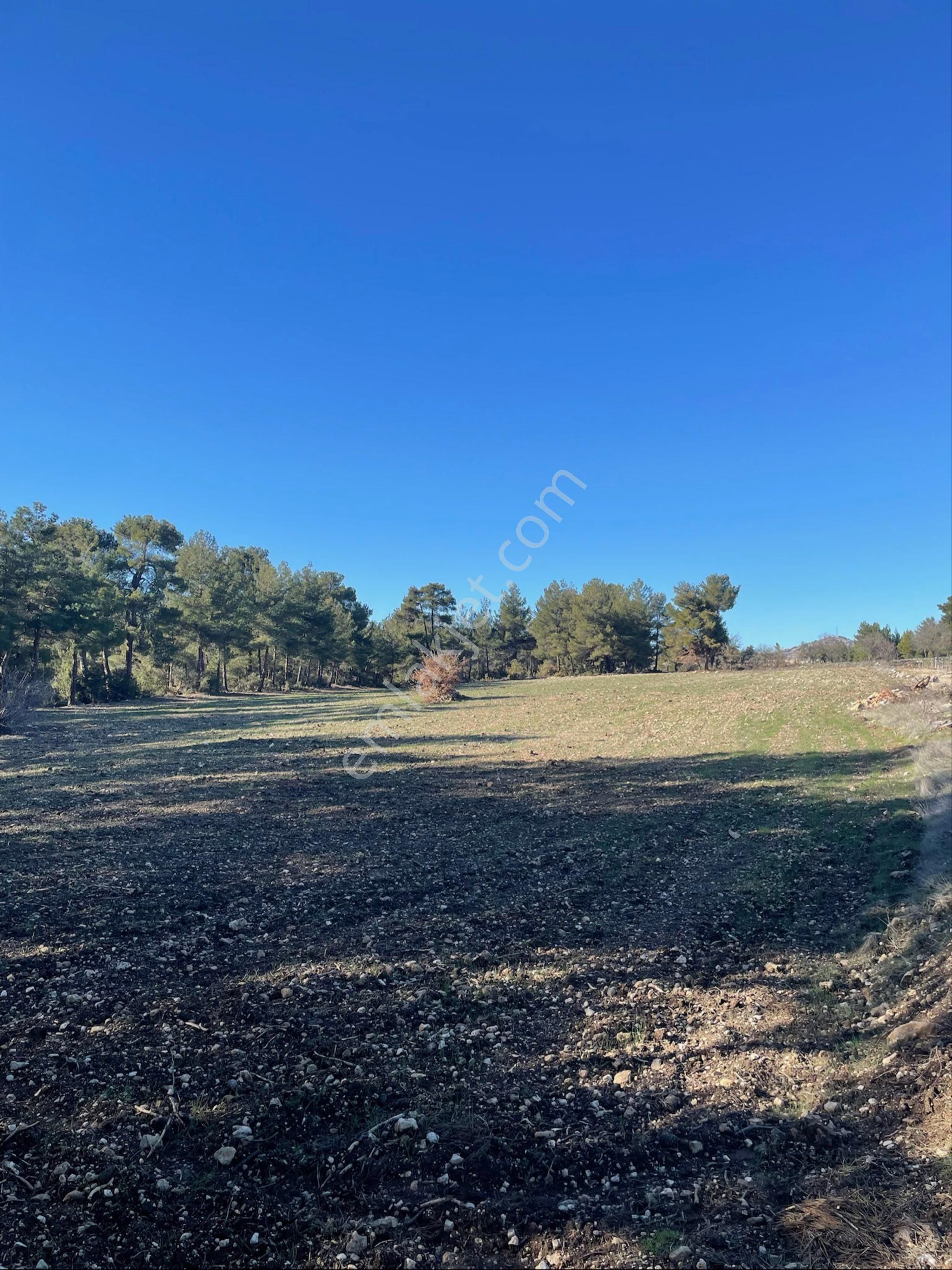 Sahibinden Yatırımlık Tarla - Görsel 10