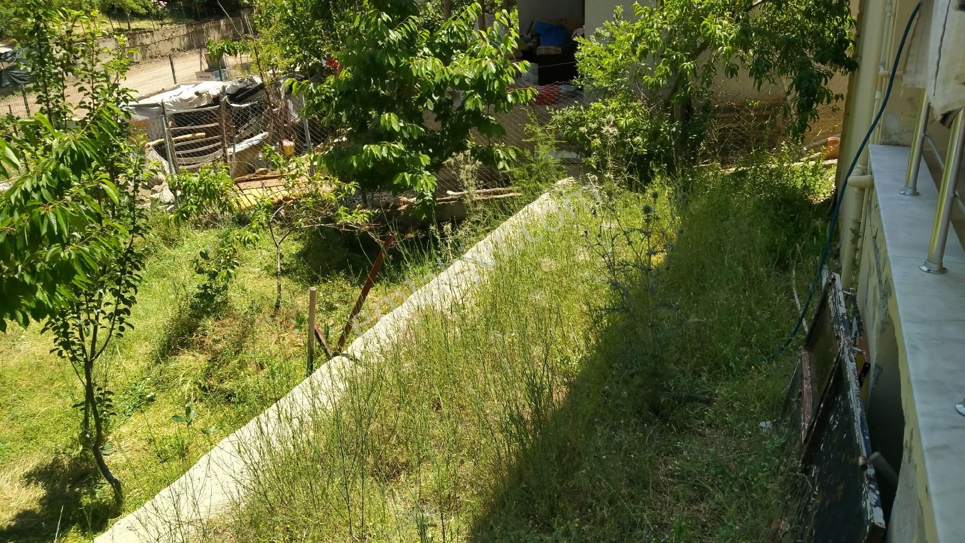 Yaylaların Yaylası Ekizce - Görsel 18