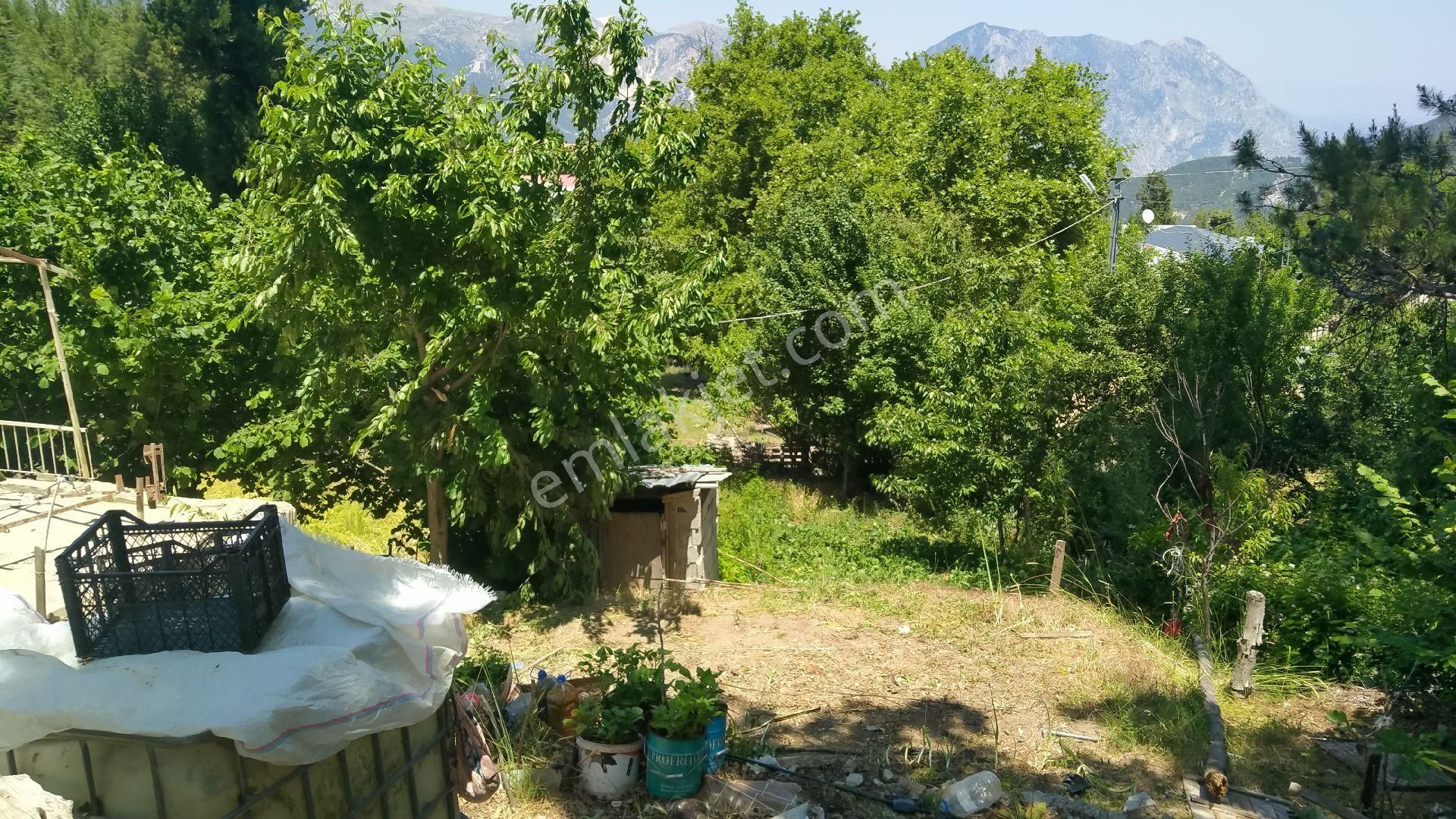 Yaylaların Yaylası Ekizce - Görsel 15