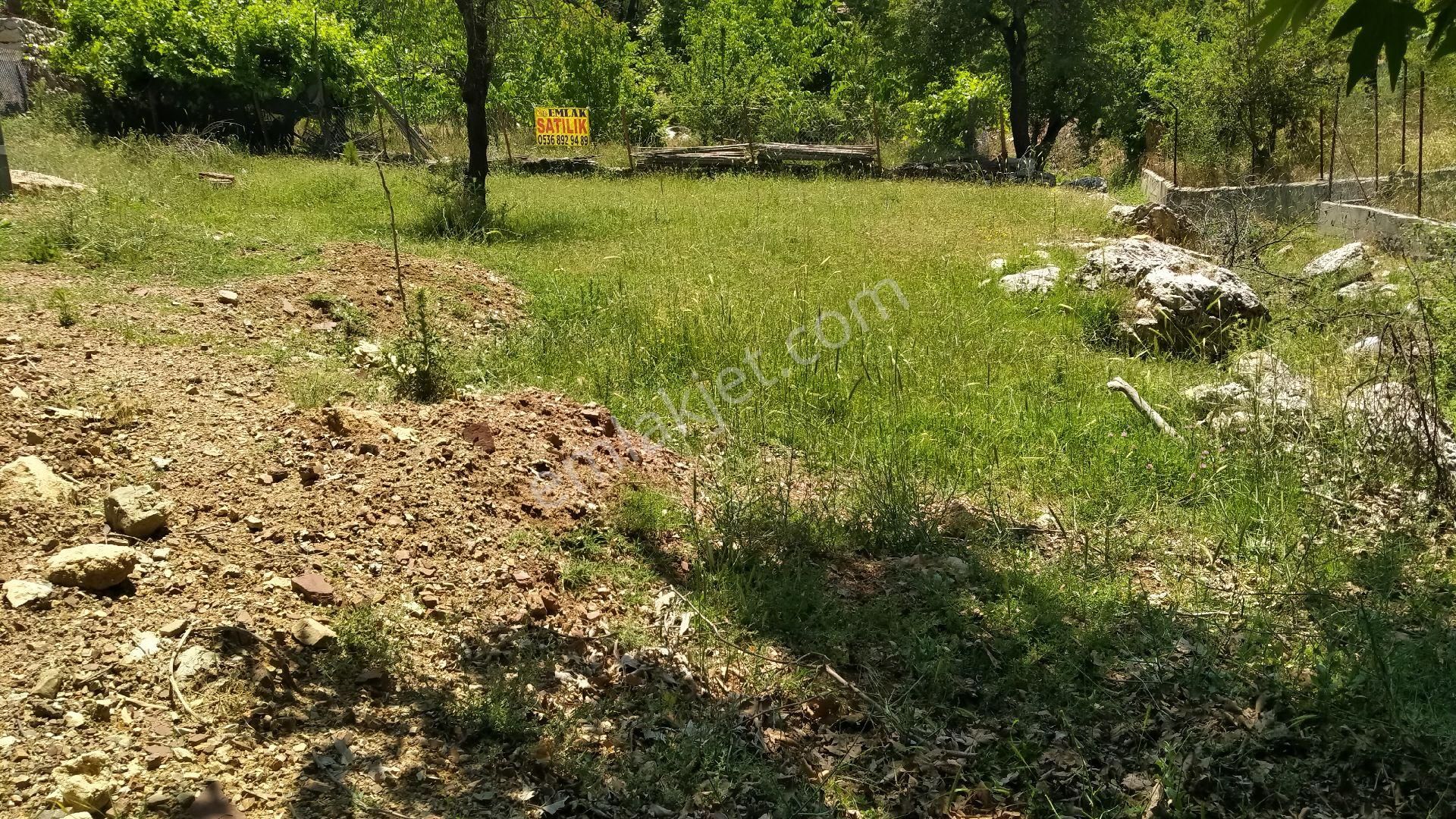 Yaylaların Yaylası Ekizce - Görsel 16