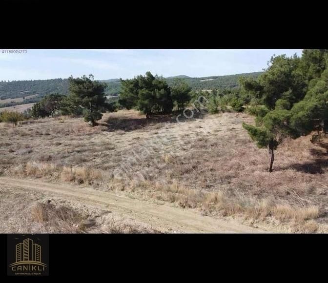 Sakarya Geyve Halidiyede 1864m² Yatırıma Uygun Arsa