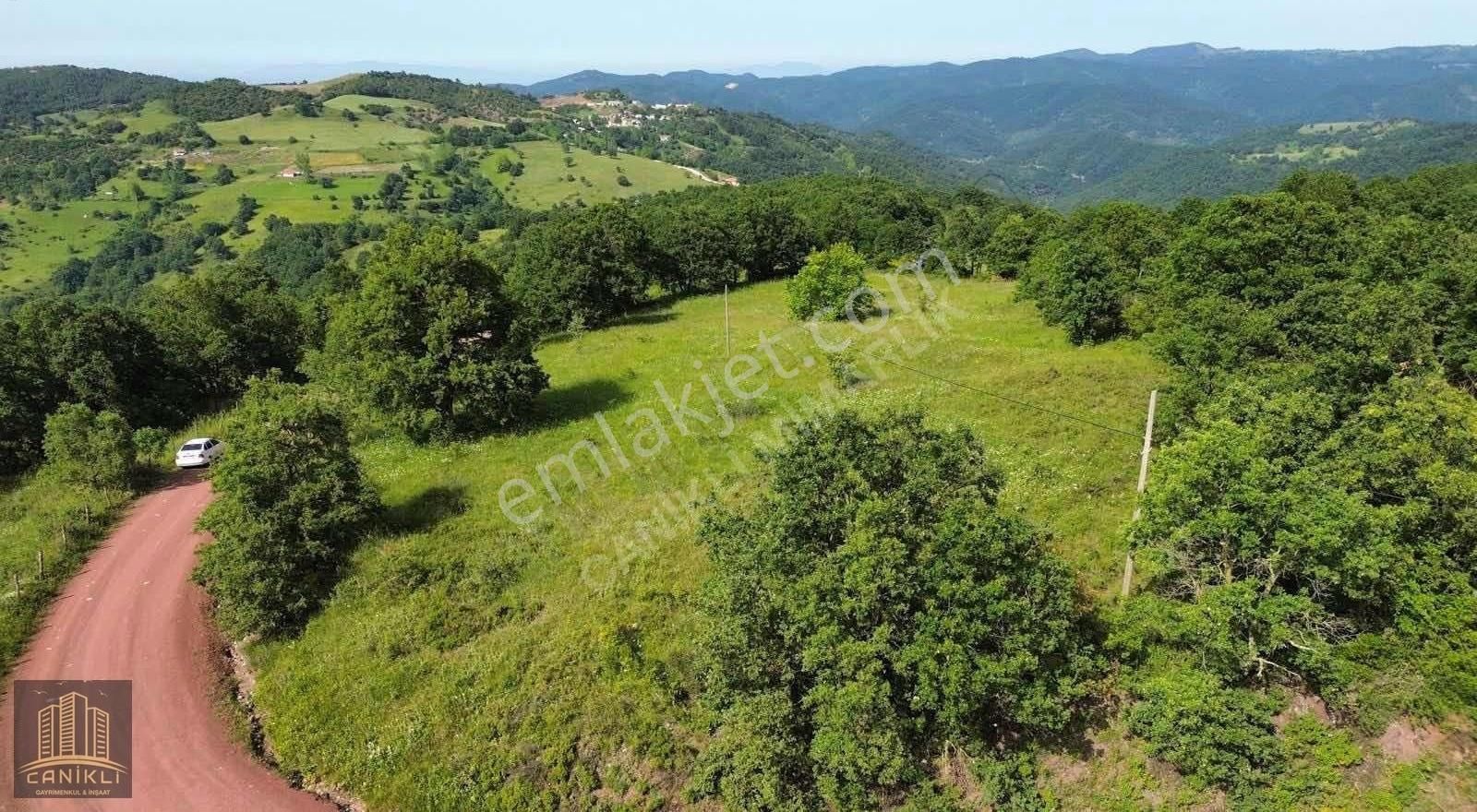 Fırsat Yatırımlık Çanakkale Biga Arabaalanda 3455m² Satılık Arsa - Görsel 6