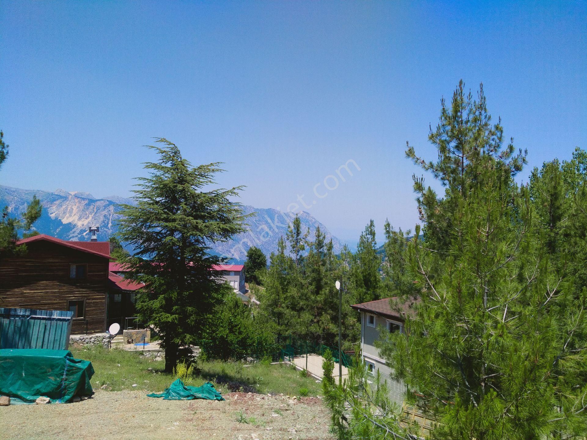 Yaylaların Yaylası Ekizce - Görsel 21