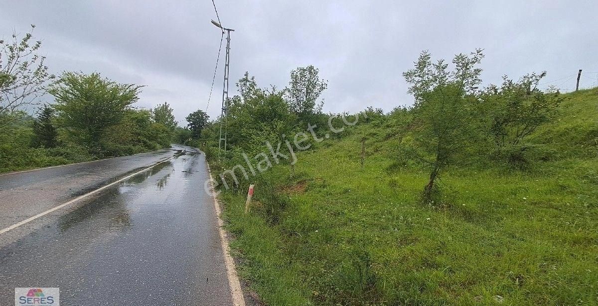 Colega Seres'ten Asfalta Cephe Ağva Plajına Merkeze 5-6 Dk Mesafede Süper Arazi
