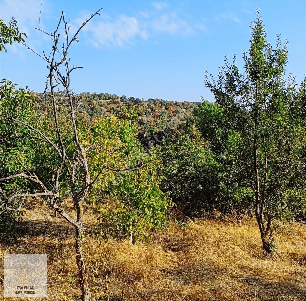 Fem Emlak ' Tan İnegöl Bayramşah 9300 M2 Lokasyonu Mükemmel - Görsel 5
