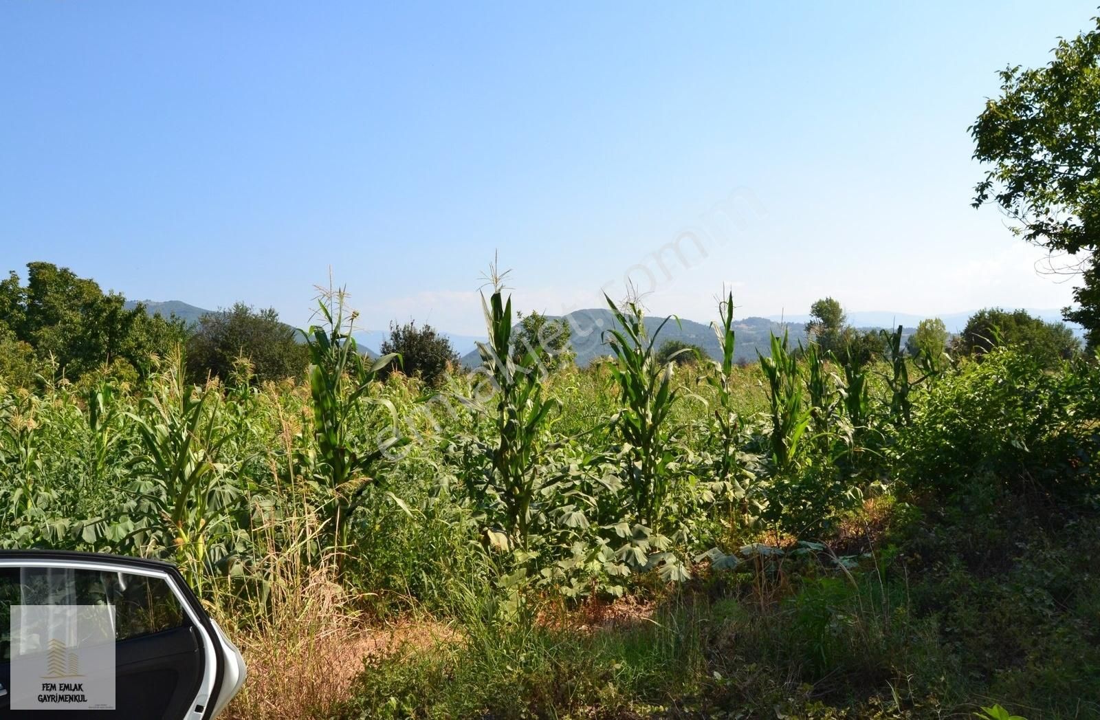 İnegöl Küçükyenice Çitlik Asfalt Yoluna Cepheli Tarla - Görsel 12