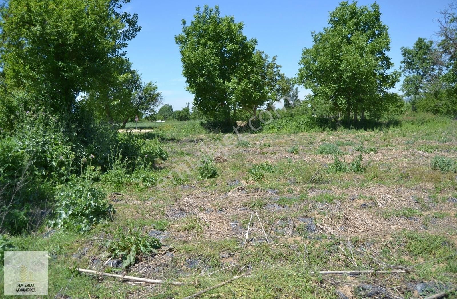 İnegöl Küçükyenice Çitlik Asfalt Yoluna Cepheli Tarla - Görsel 19