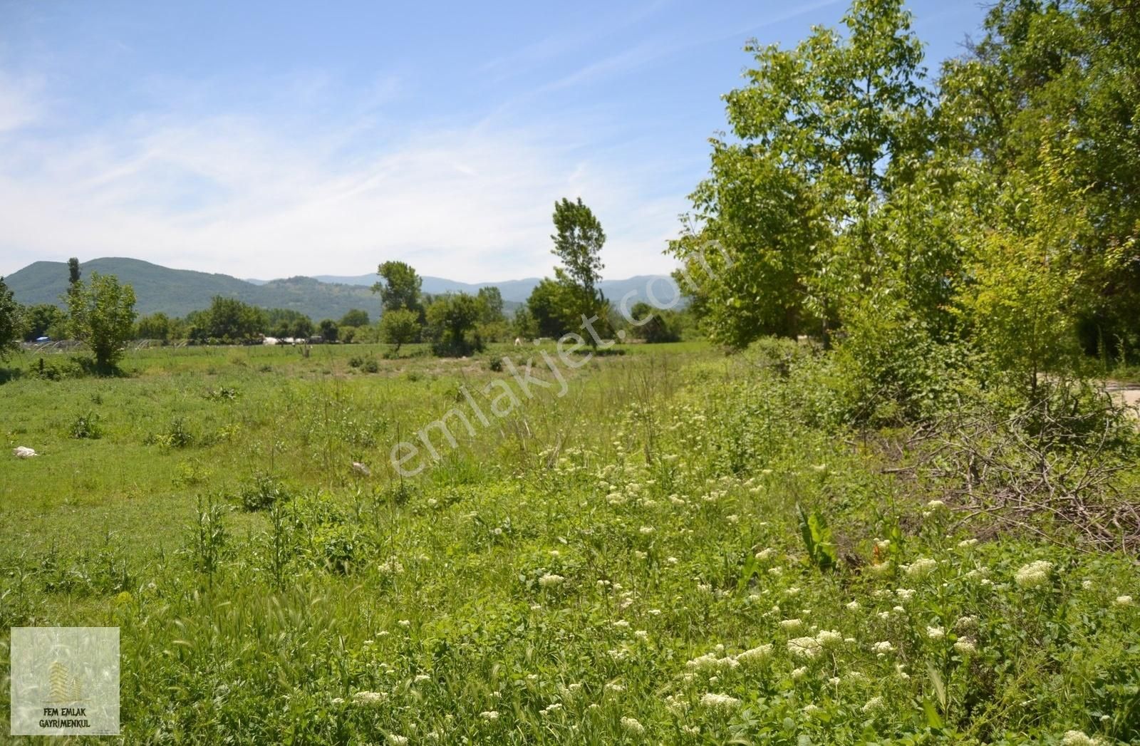 İnegöl Küçükyenice Çitlik Asfalt Yoluna Cepheli Tarla - Görsel 6