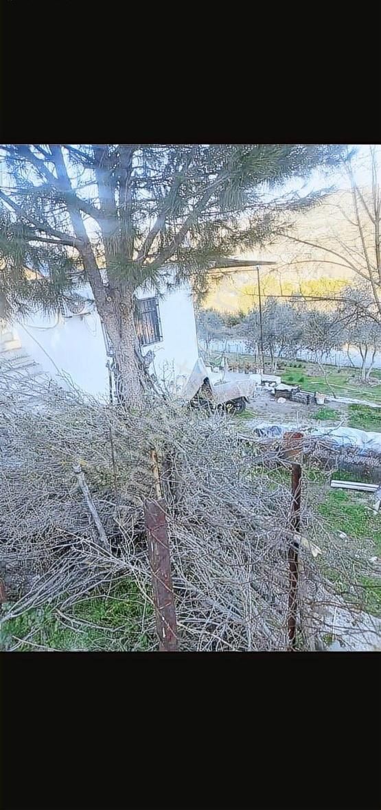 Muğla-yatağan Asfaltına Yakın Satılık Müstakil Ev Ve Tarla