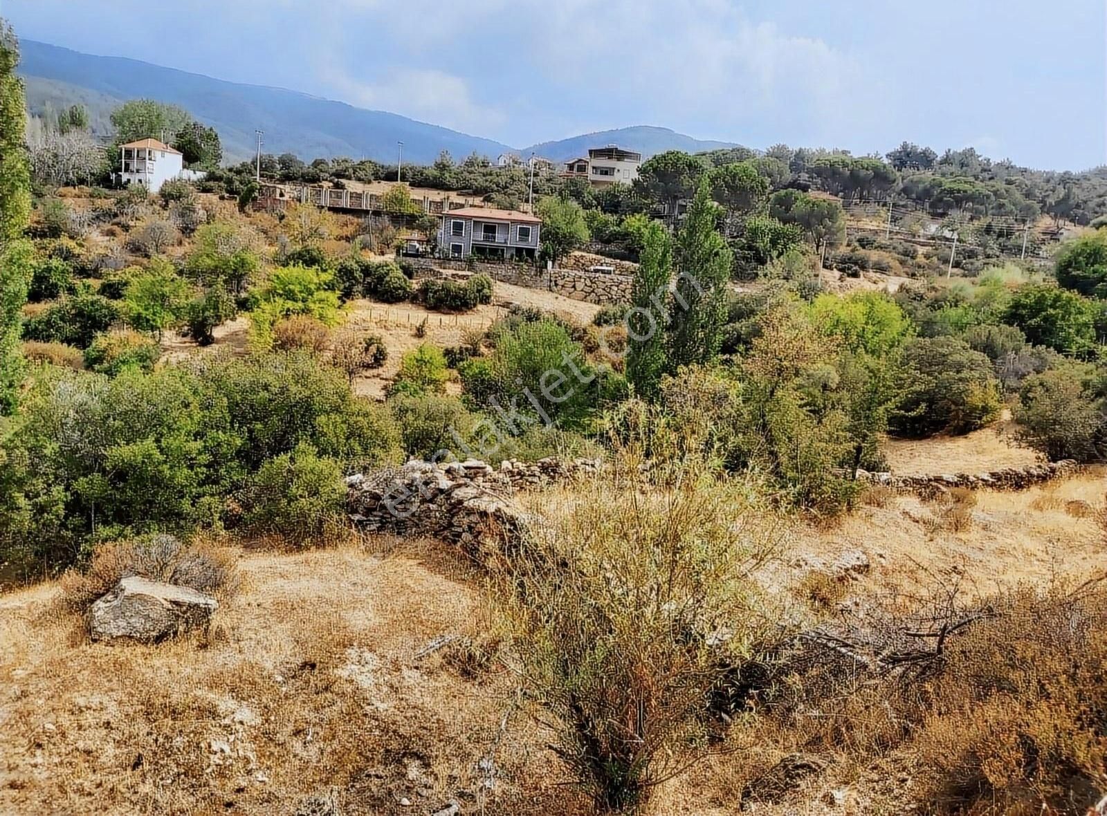 Kavşit Yaylasında Satılık İmarlı Arsa Ve Meyve Bahçesi
