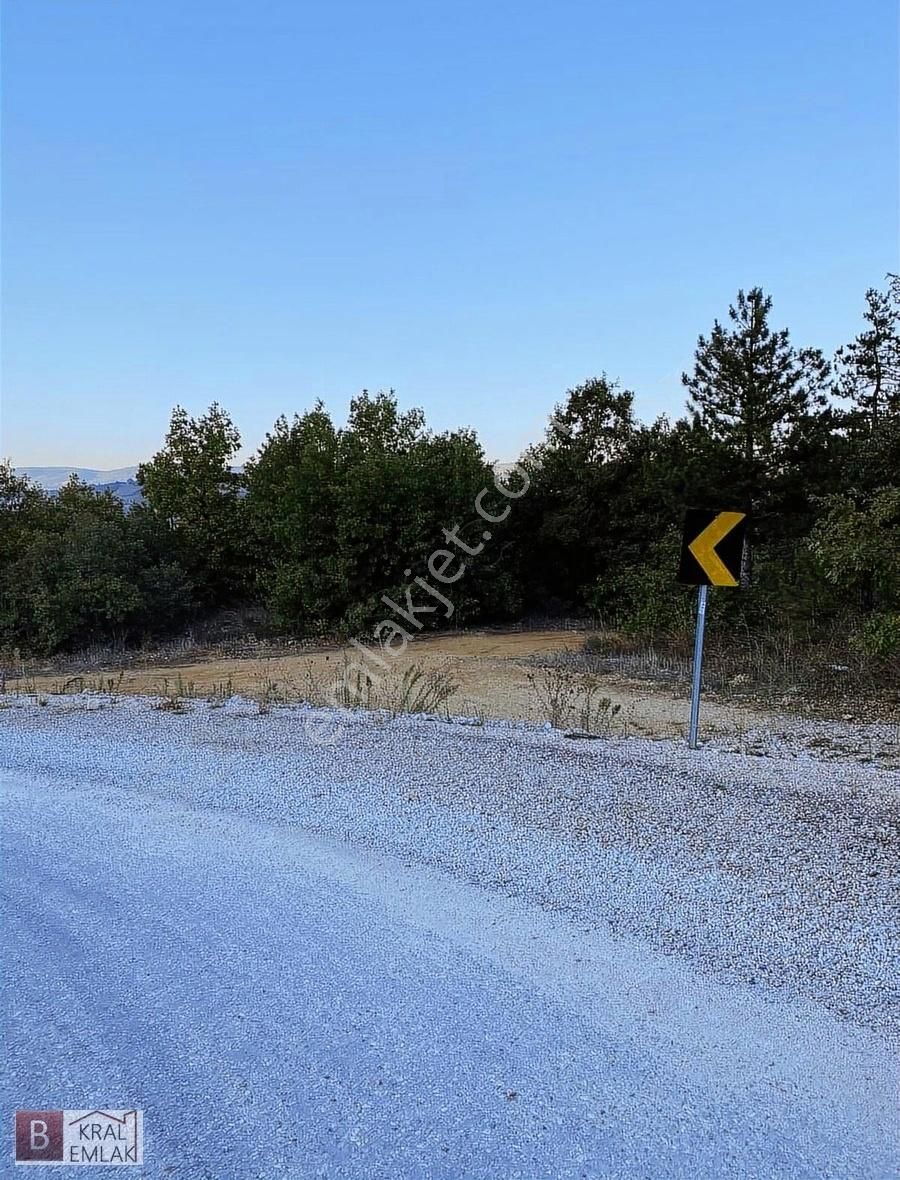 Kral Emlaktan Satılık Yola Cephe Tarla