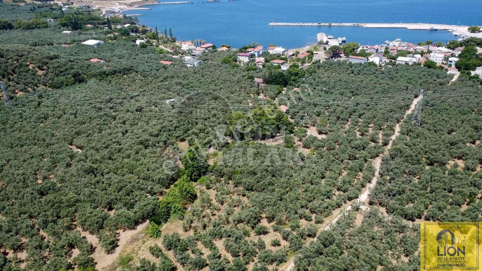 🟨⬛lıon Emlak'tan Erdek İlhan Mahallesi Halk Plajına Yakın 1056m² Satılık Zeytinlik⬛🟨 - Görsel 10