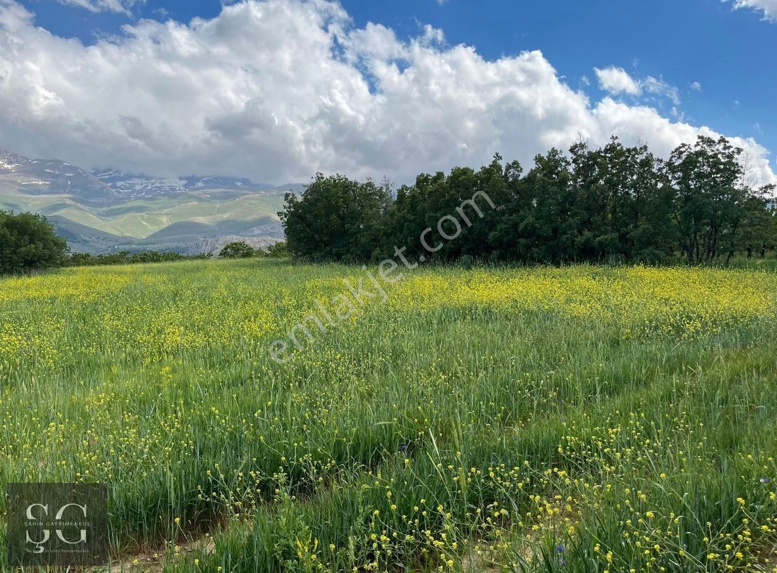 Gölet Ve Doğa Manzarali Tarla Köye Yakin
