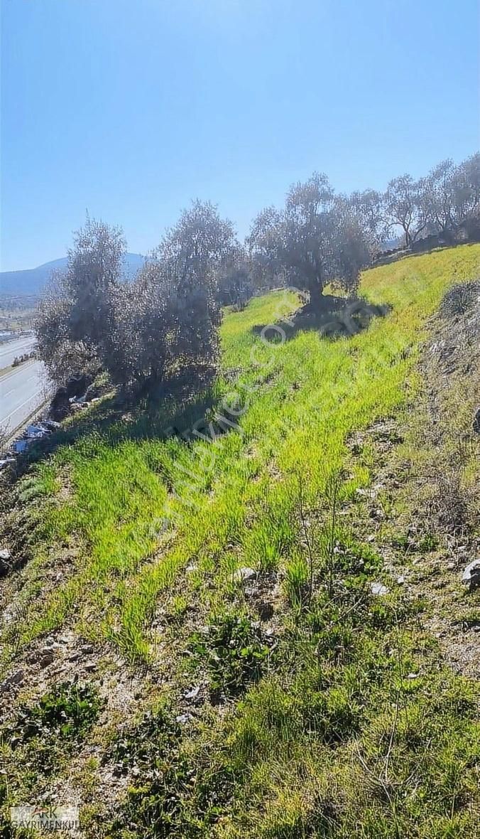Muğla-aydın Karayolu Üzerinde Fırsat Arazi