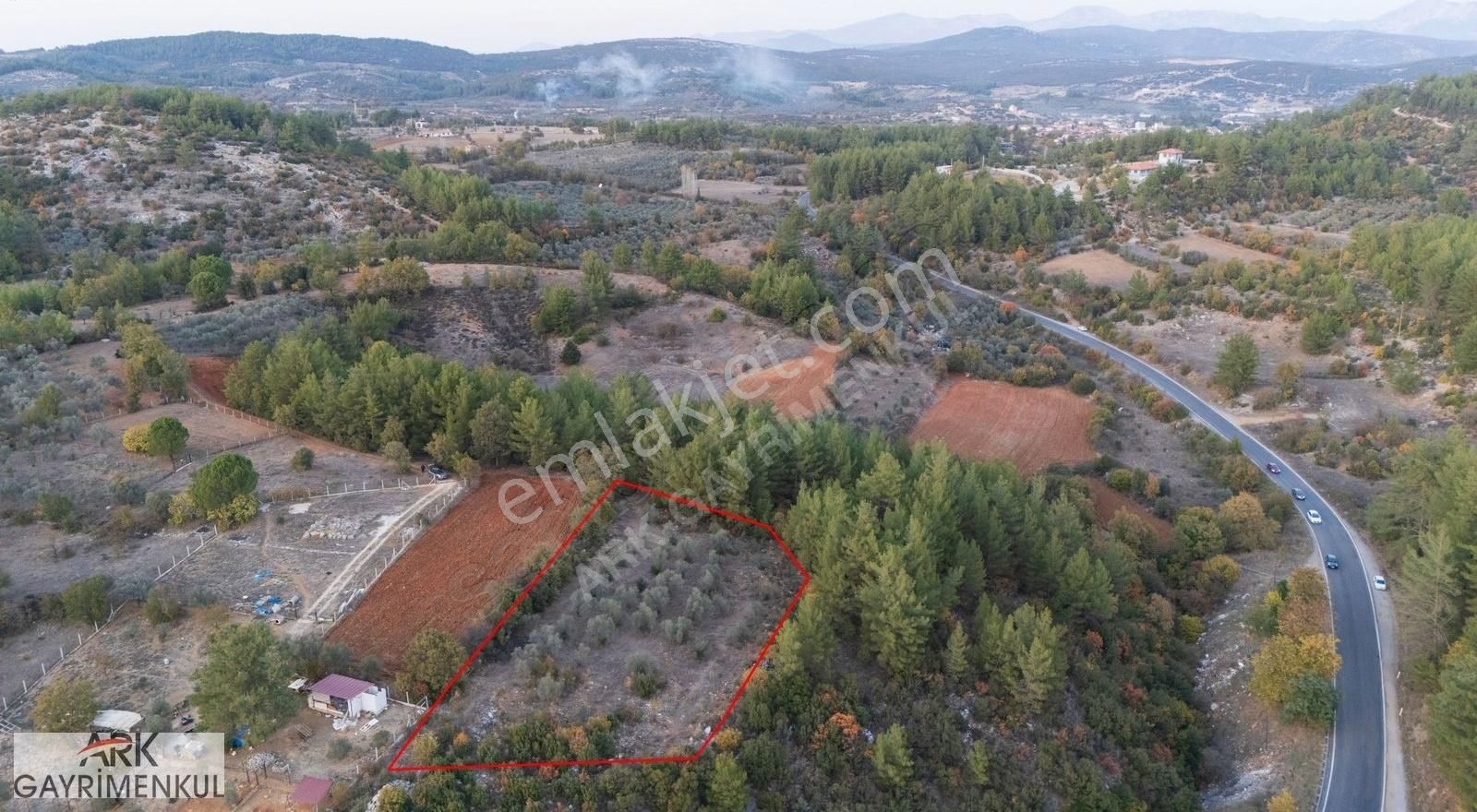 Akyaka-akbük Yolu Üzerinde Asfalta Yakın Fırsat Zeytinli Tarla!