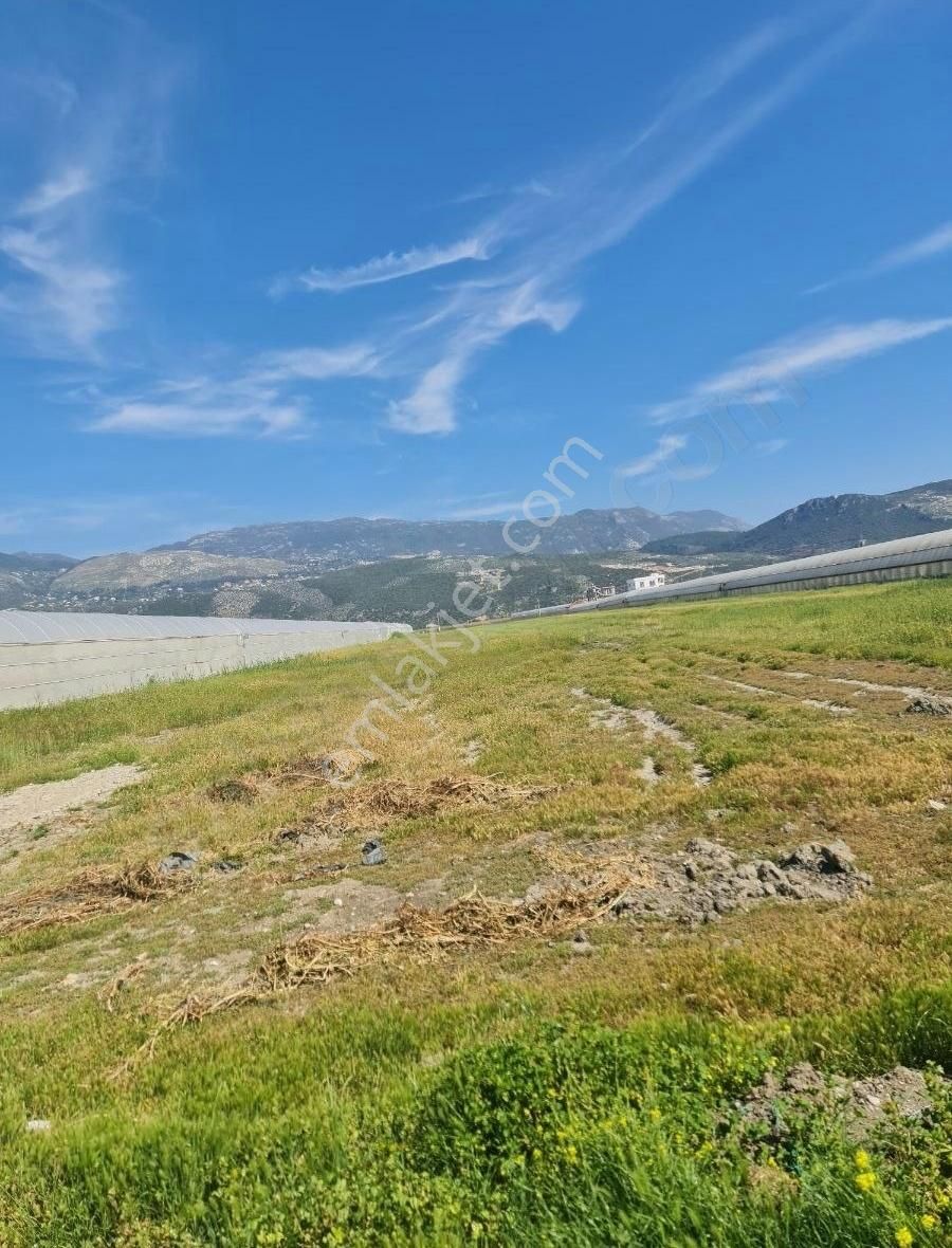 Kaş Kınık Mh. 9900 M2 Satılık Tarla.