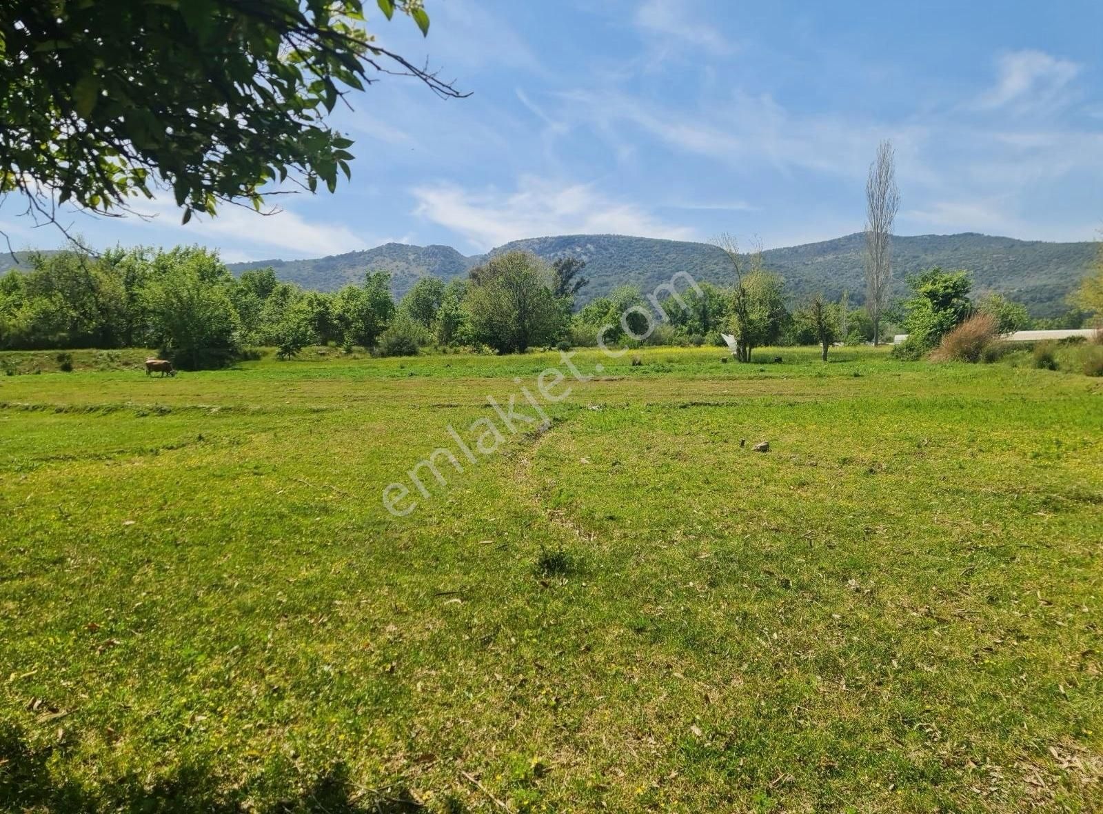 Kaş Kınıkta 5750 M2 Satılık Tarla.