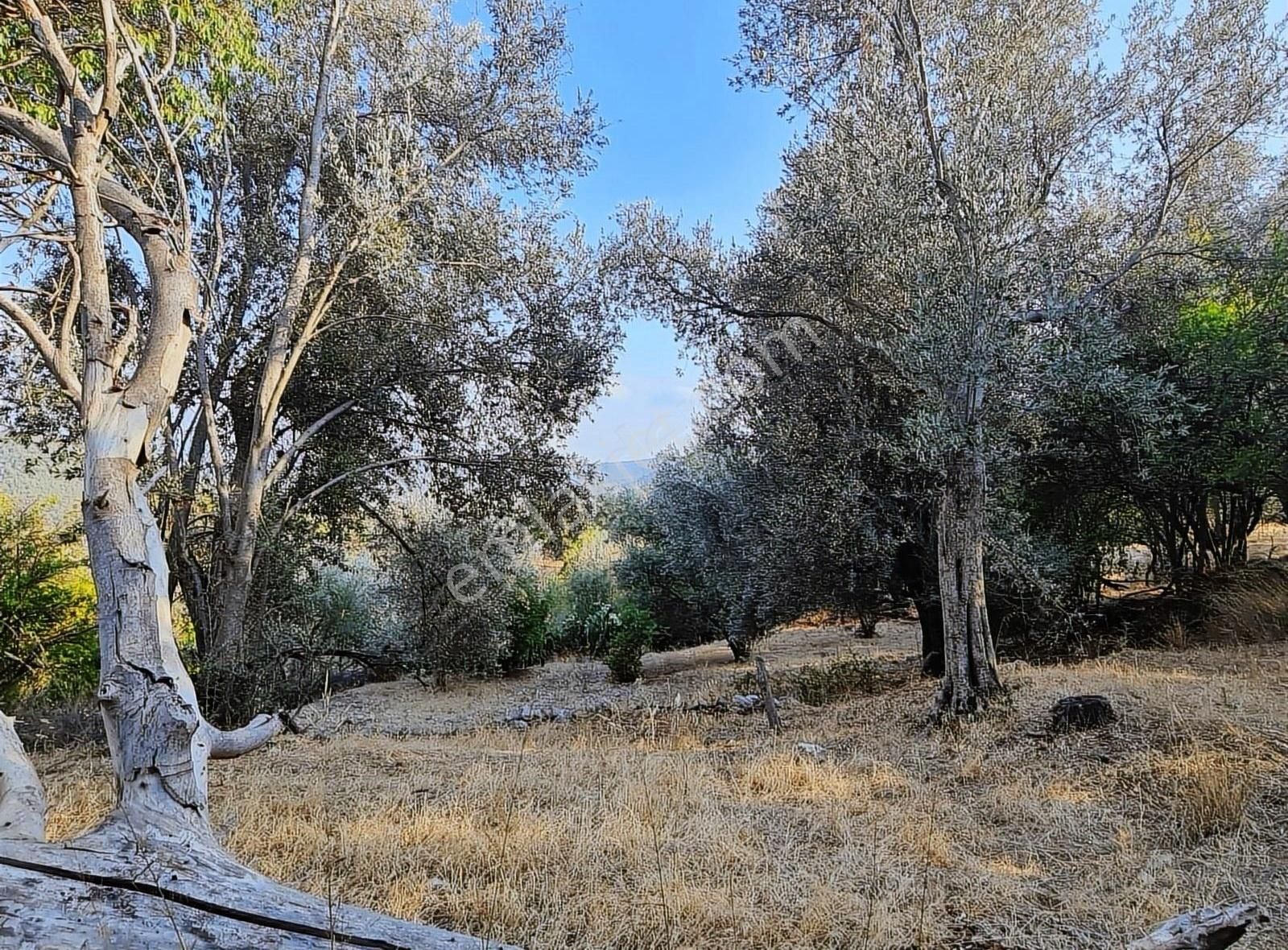 Yakacik Mh. 486 M2 Satılık Arsa. - Görsel 4